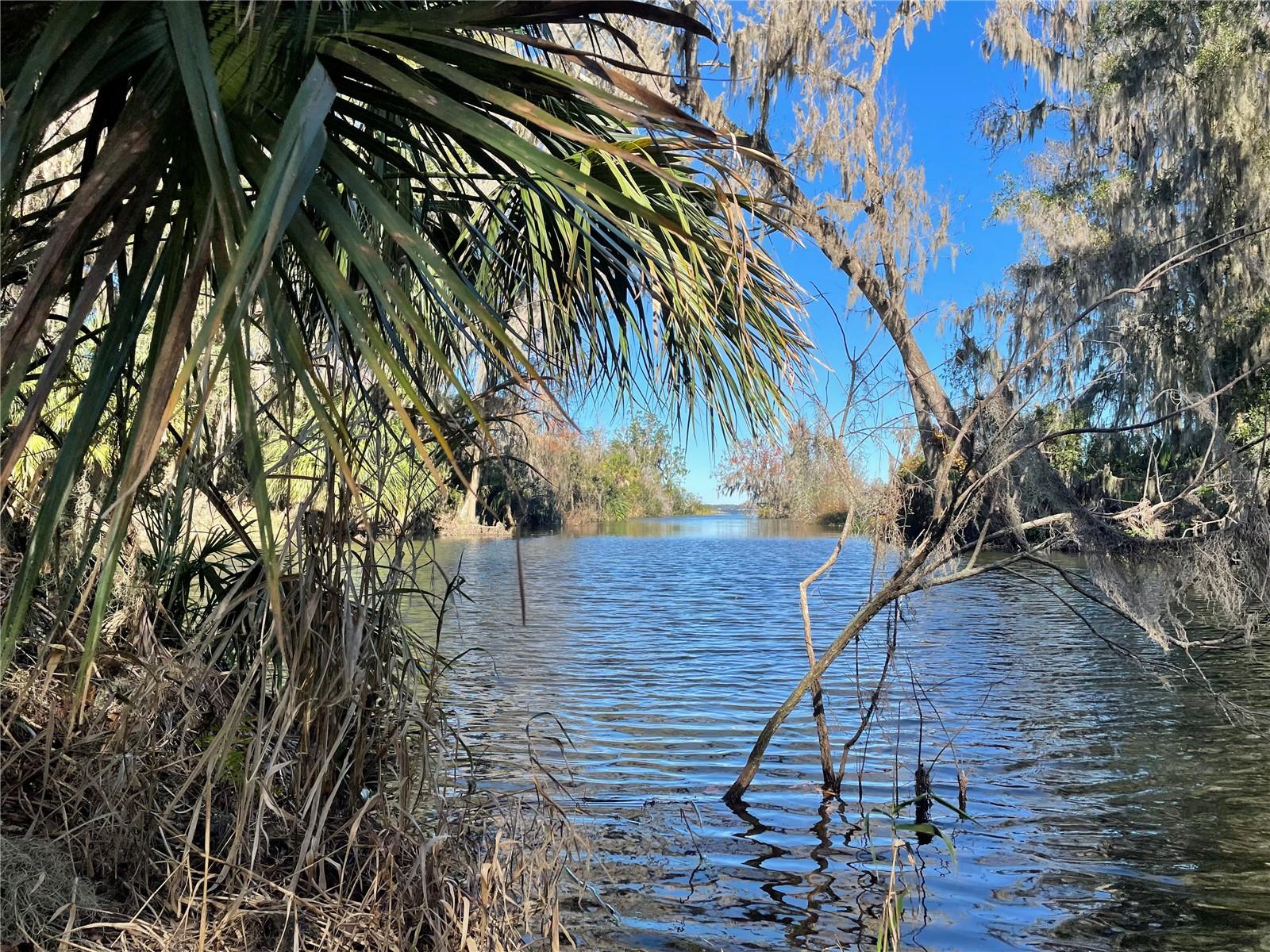 Image 6 of 8 For 0 Shore Acres Drive