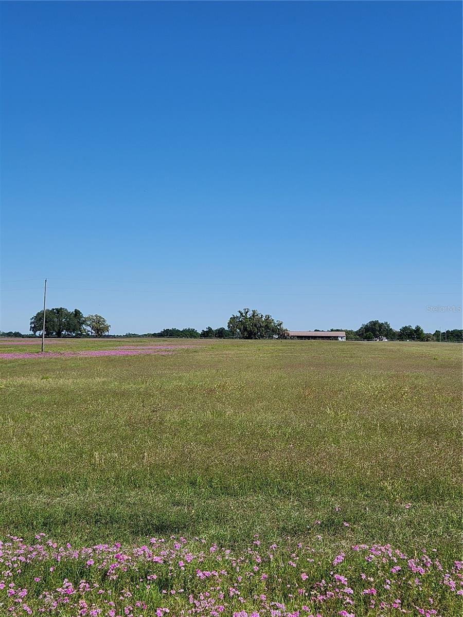 Image 4 of 8 For Lot 1 102nd Boulevard