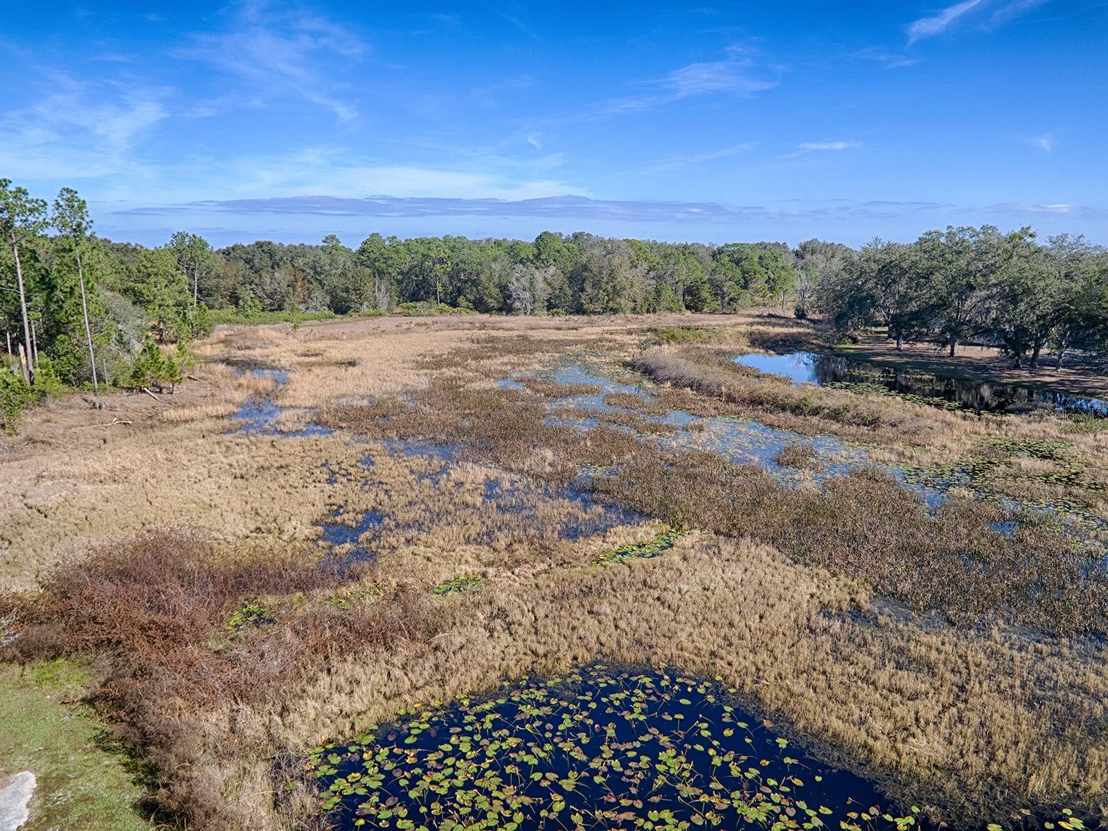 Image 6 of 10 For 22451 Loop Road