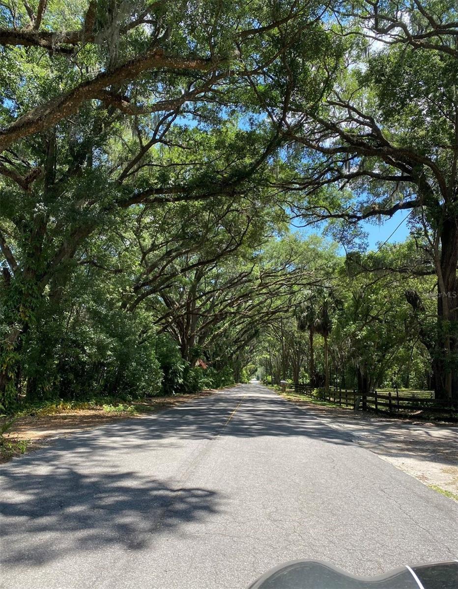 Image 6 of 79 For 1921 Smitty Road