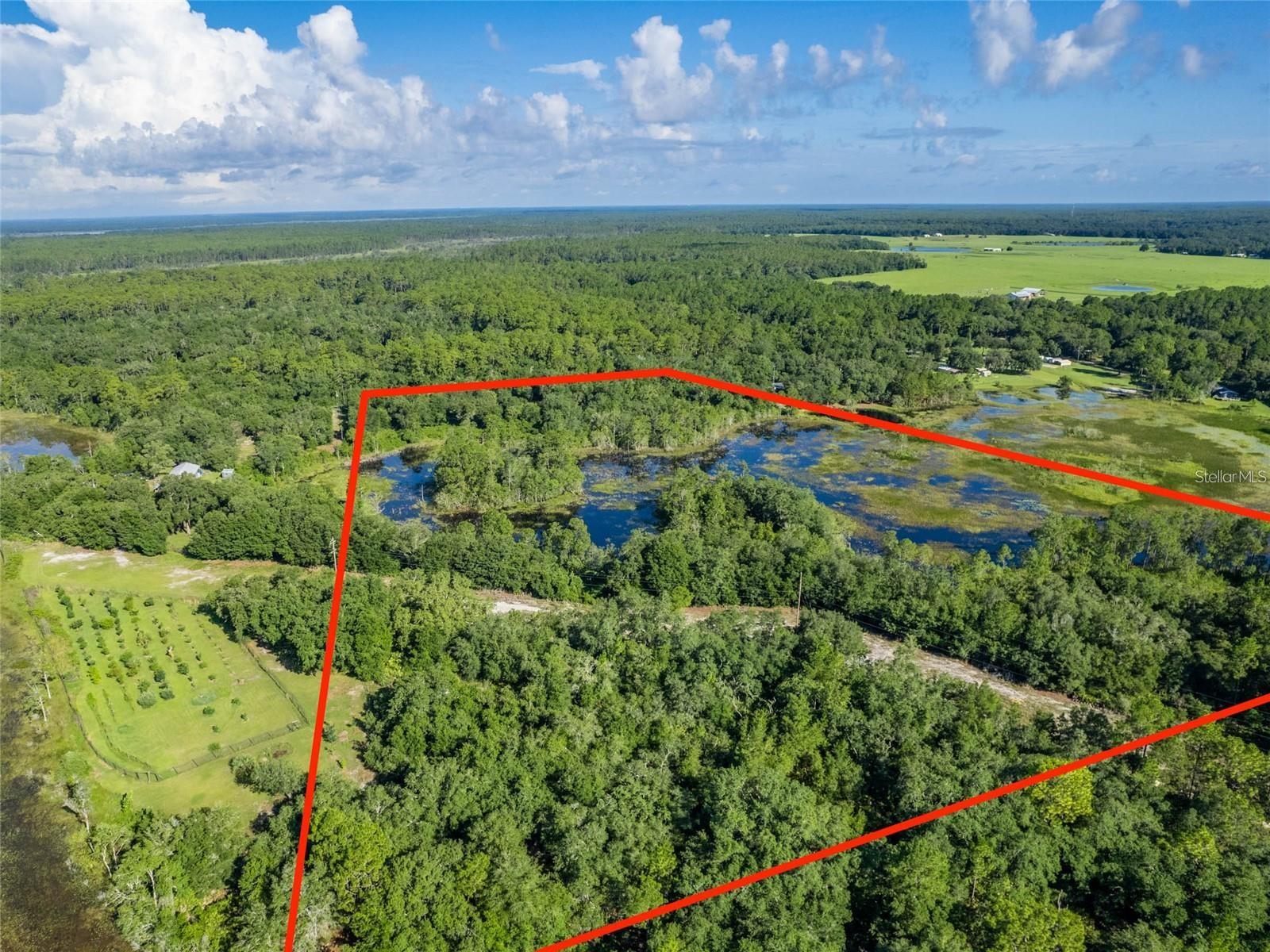 Details for Tbd 170th Avenue Road, OCKLAWAHA, FL 32179