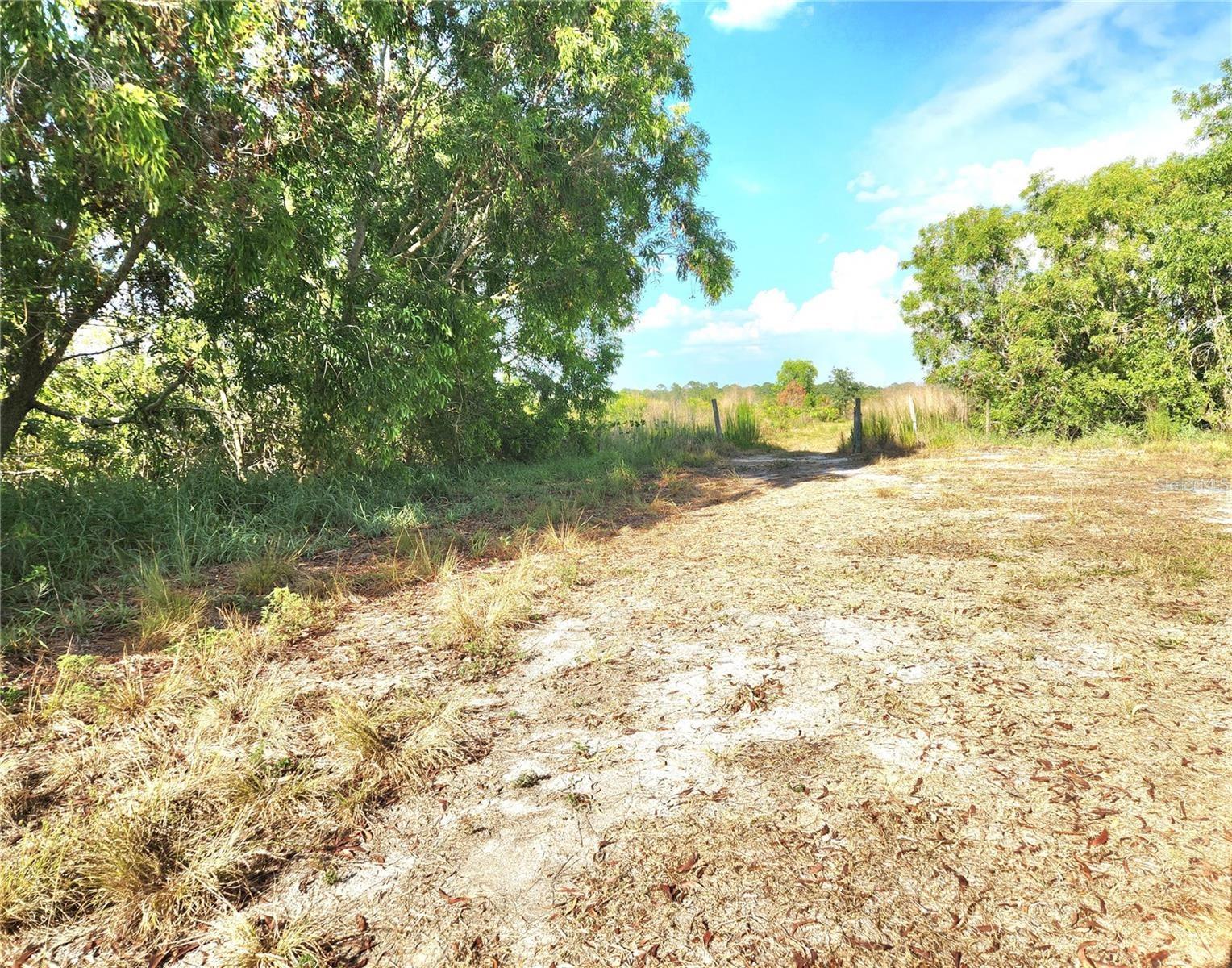 Image 10 of 46 For Frostproof Road