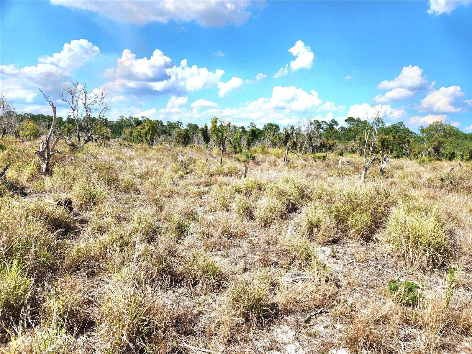 Image 11 of 46 For Frostproof Road