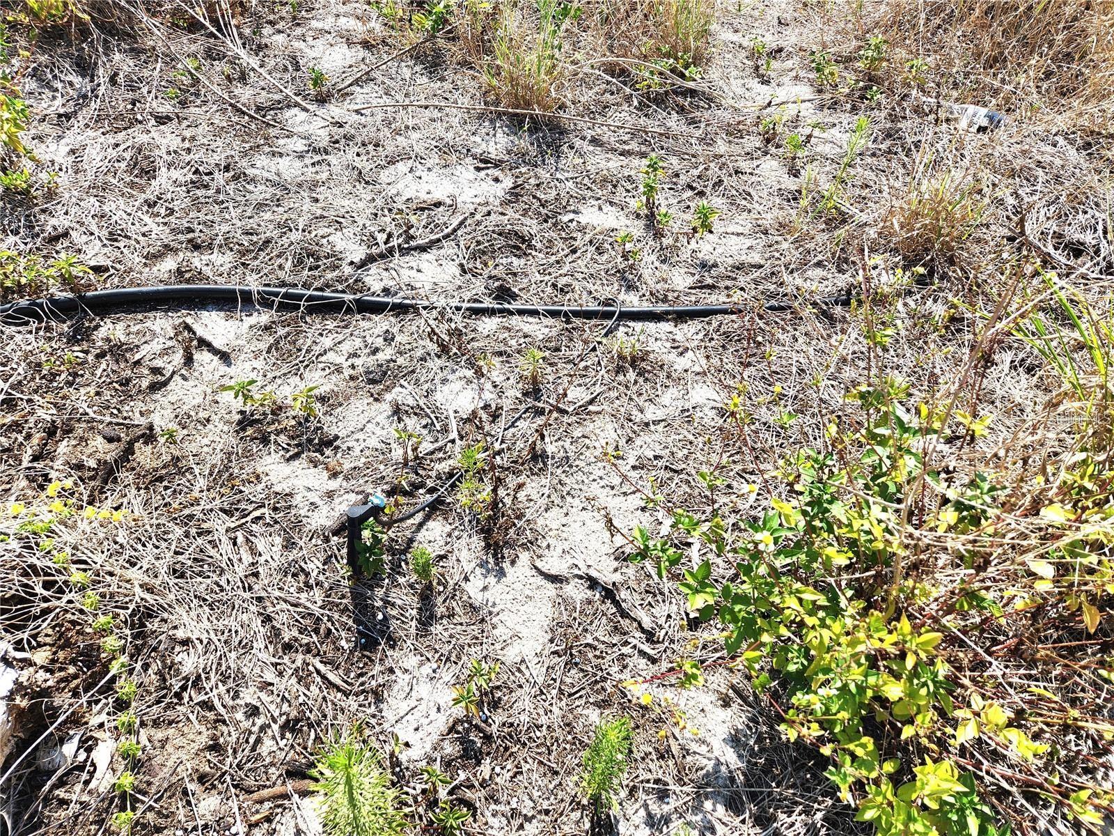 Image 12 of 46 For Frostproof Road