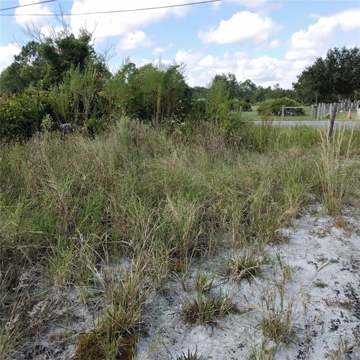 Image 48 of 66 For Frostproof Road Lot 10, 11
