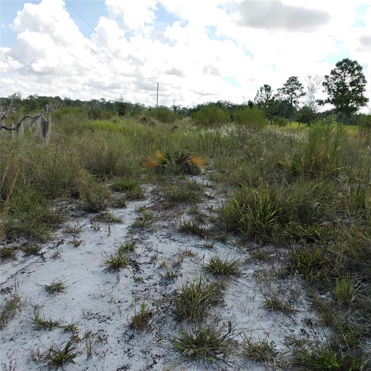 Image 51 of 66 For Frostproof Road Lot 10, 11