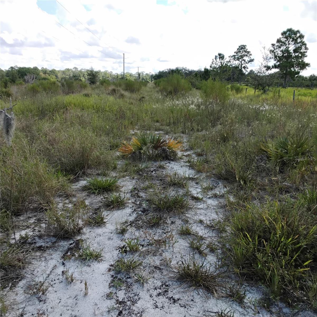 Image 52 of 66 For Frostproof Road Lot 10, 11