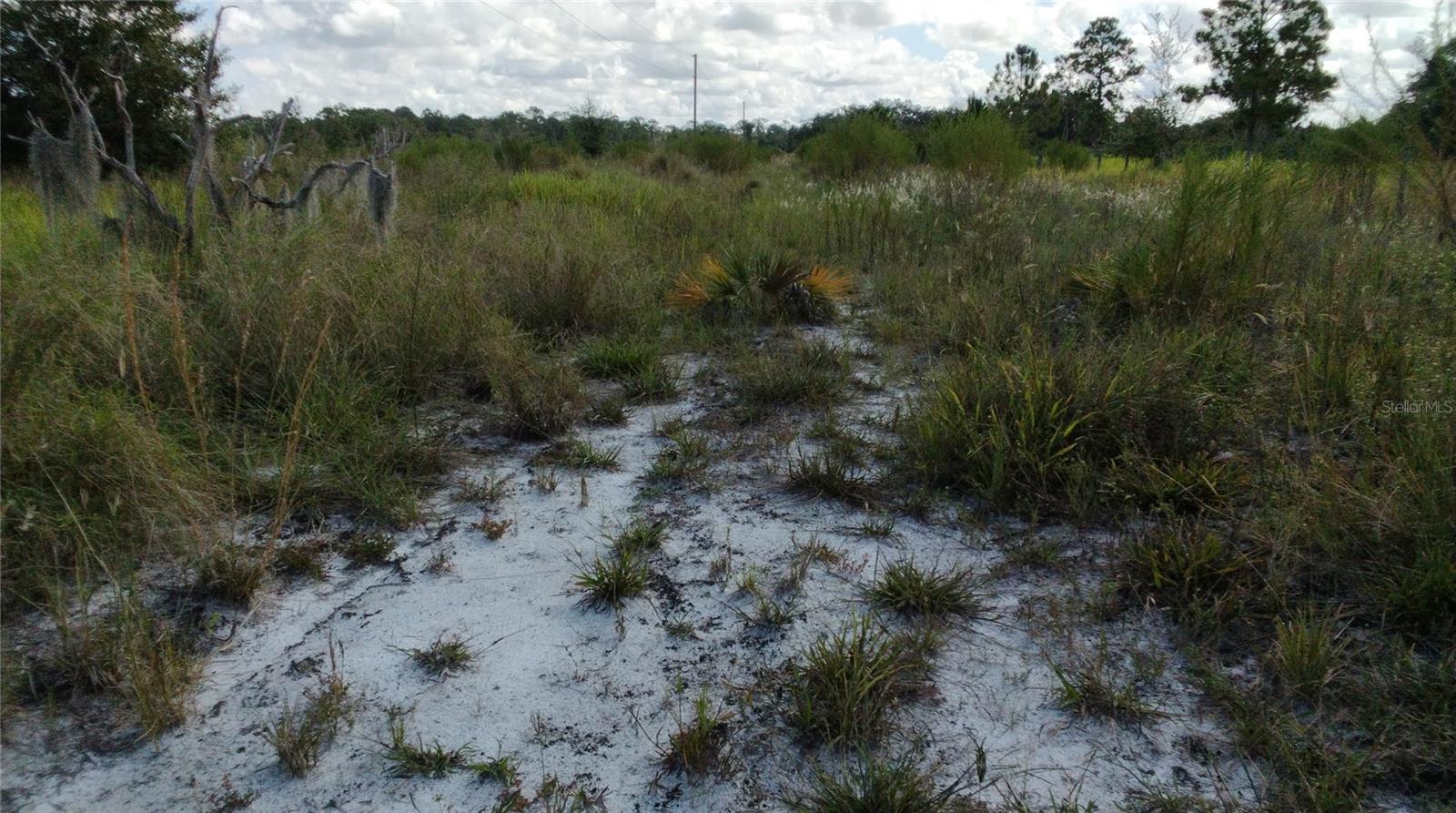Image 53 of 66 For Frostproof Road Lot 10, 11