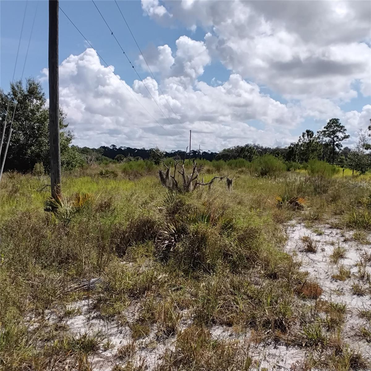 Image 56 of 66 For Frostproof Road Lot 10, 11