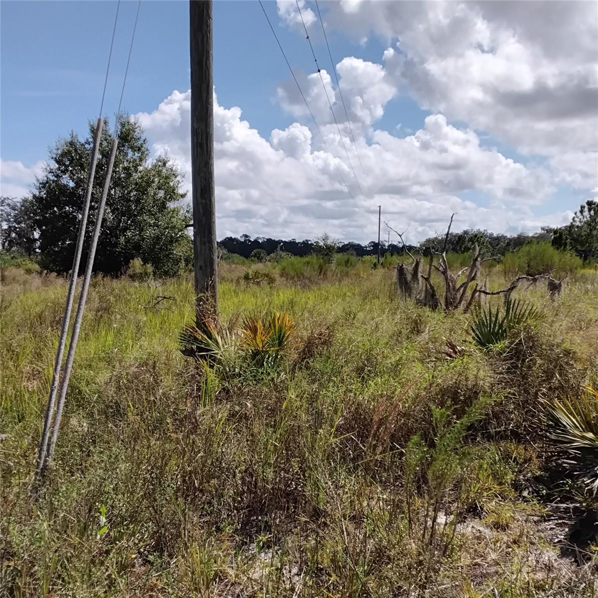 Image 57 of 66 For Frostproof Road Lot 10, 11