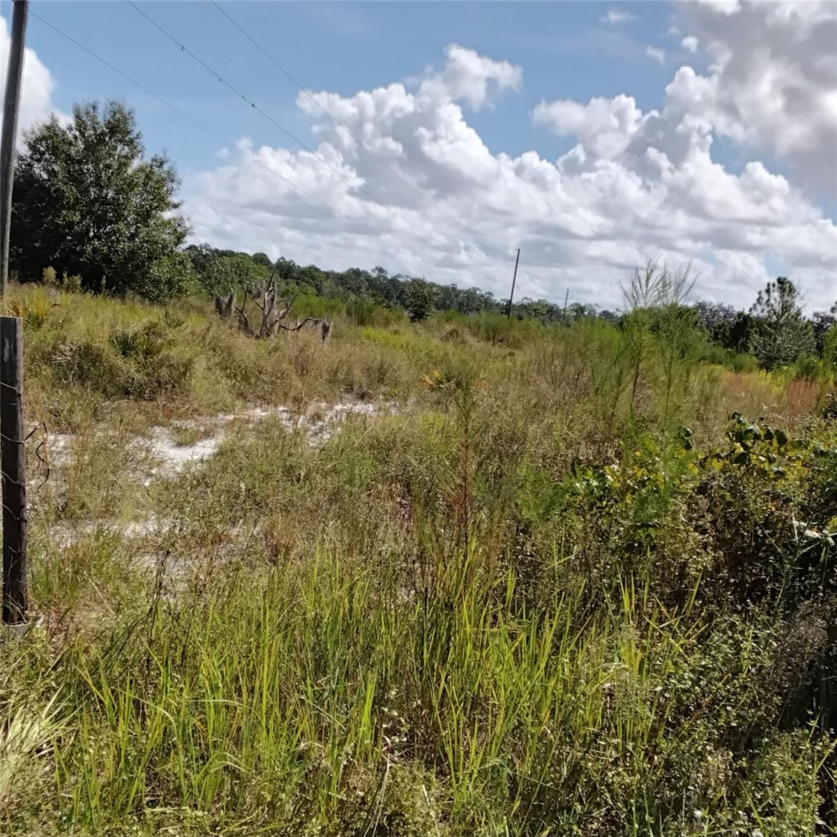 Image 62 of 66 For Frostproof Road Lot 10, 11