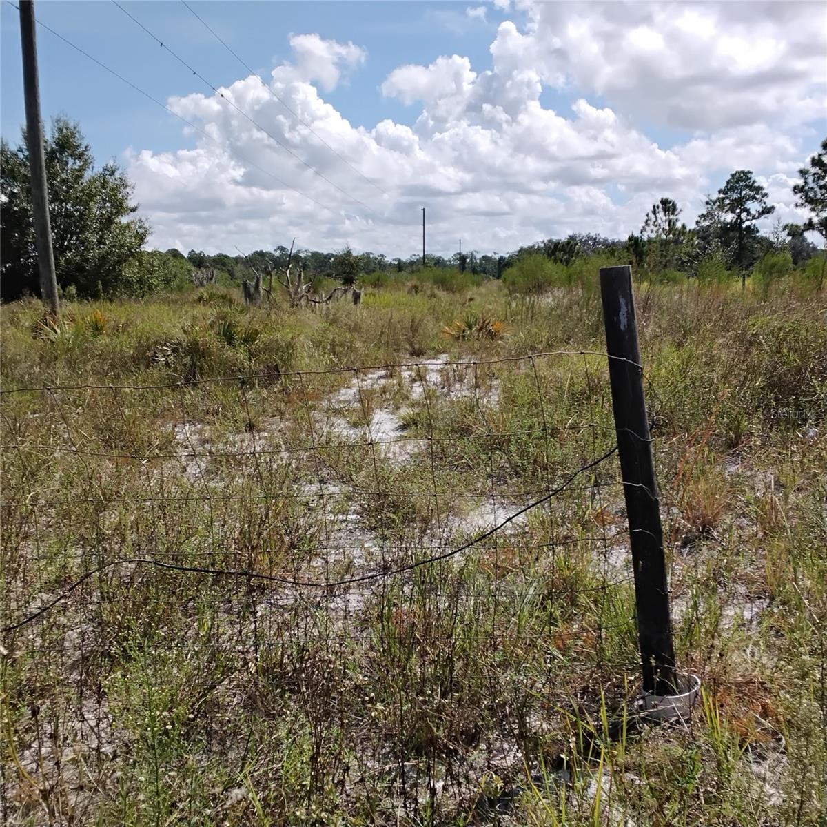 Image 63 of 66 For Frostproof Road Lot 10, 11