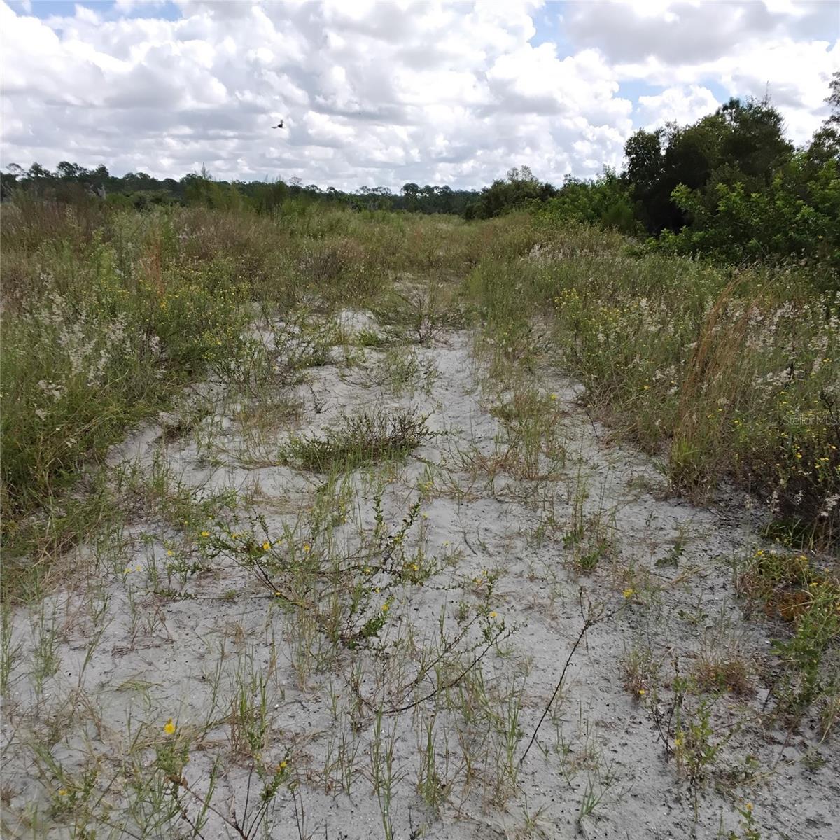 Image 66 of 66 For Frostproof Road Lot 10, 11