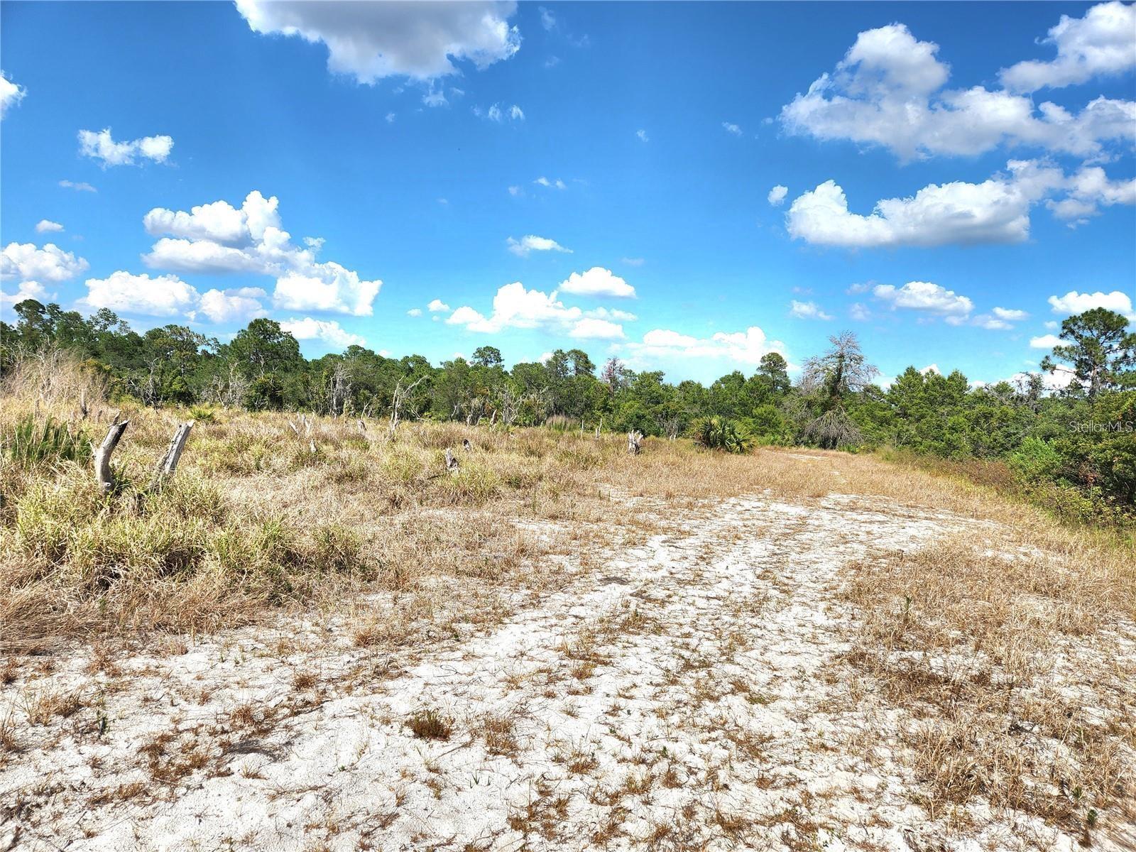 Image 8 of 46 For Frostproof Road