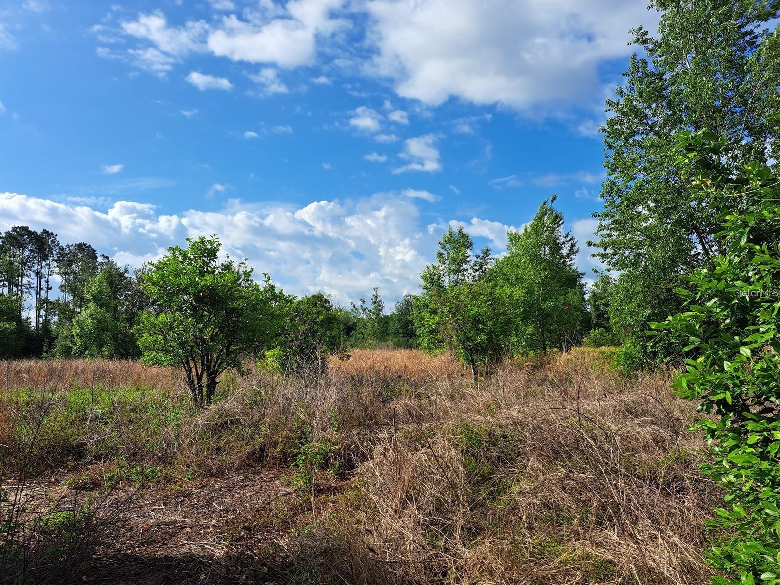 Image 8 of 15 For Coffee Creek Lane