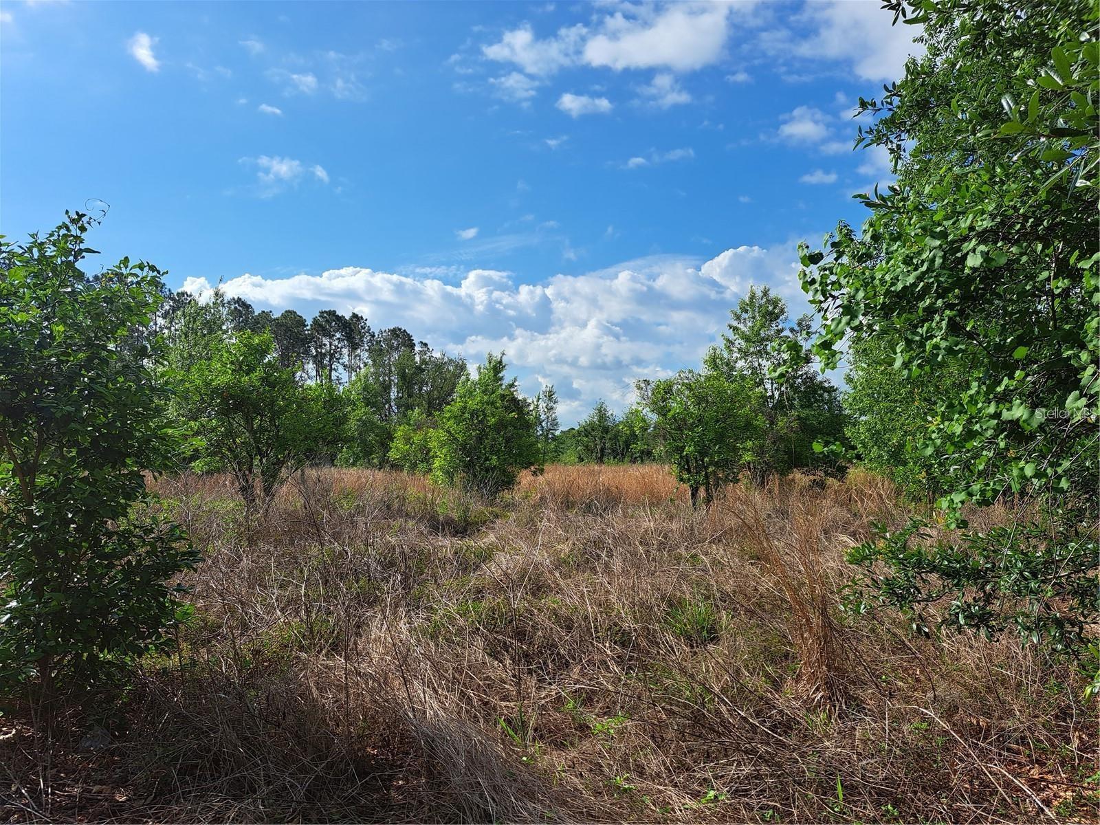 Image 9 of 15 For Coffee Creek Lane