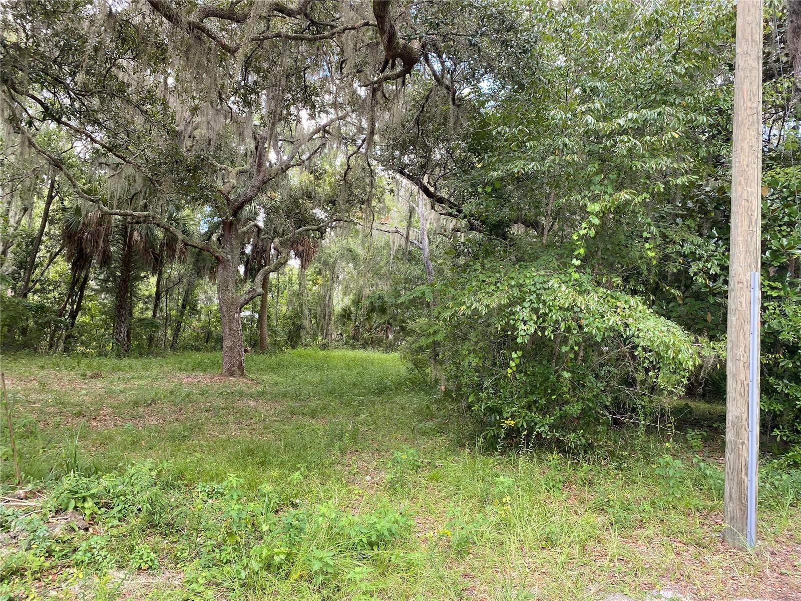 Details for  Cr 448c  , LAKE PANASOFFKEE, FL 33538