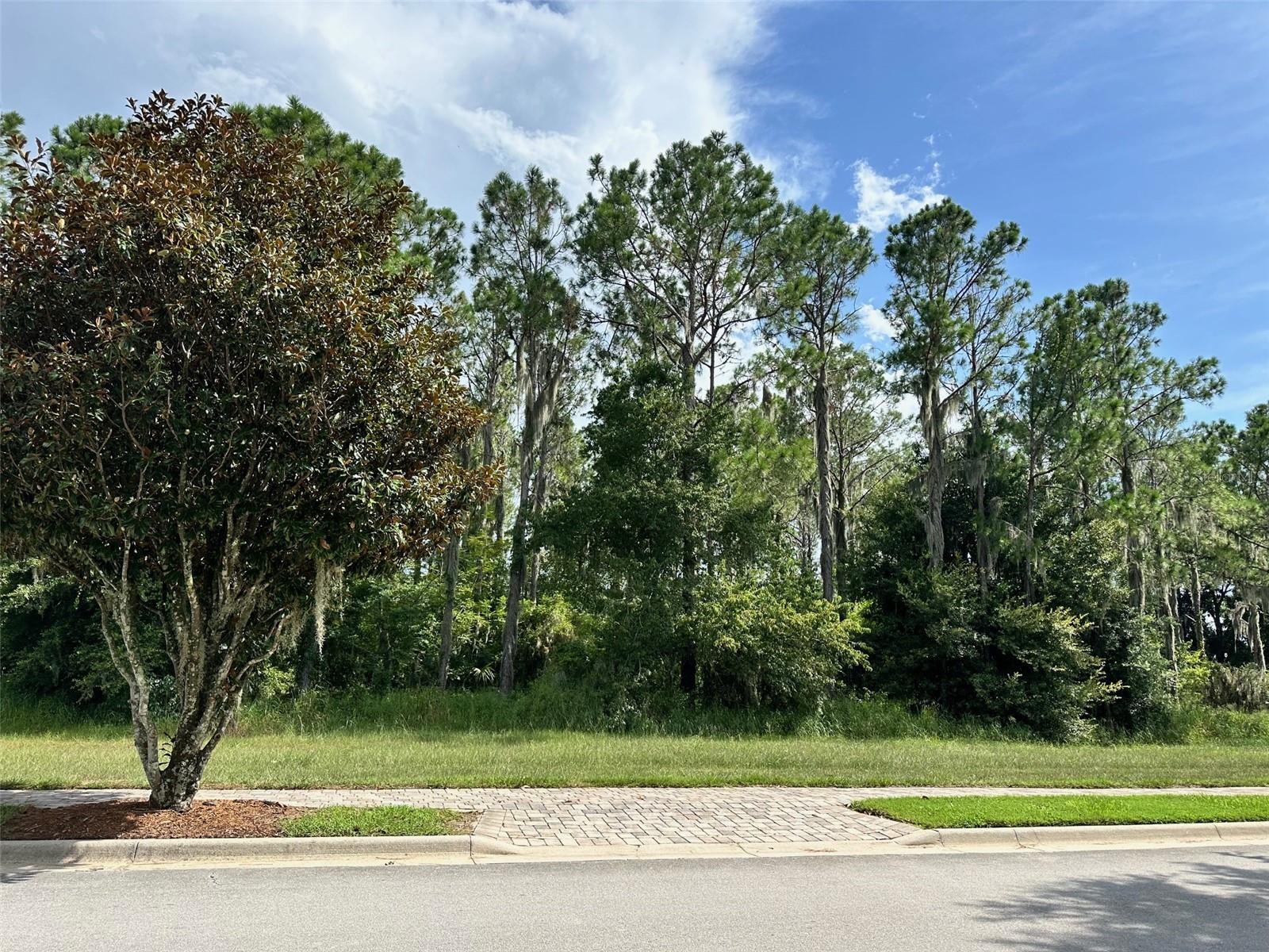 Image 5 of 8 For 15516 Pendio Drive