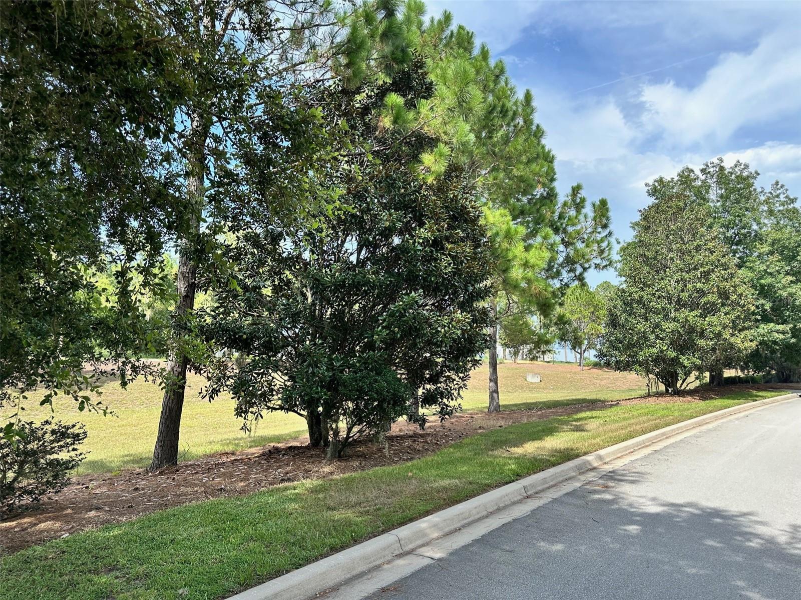 Image 6 of 8 For 15516 Pendio Drive
