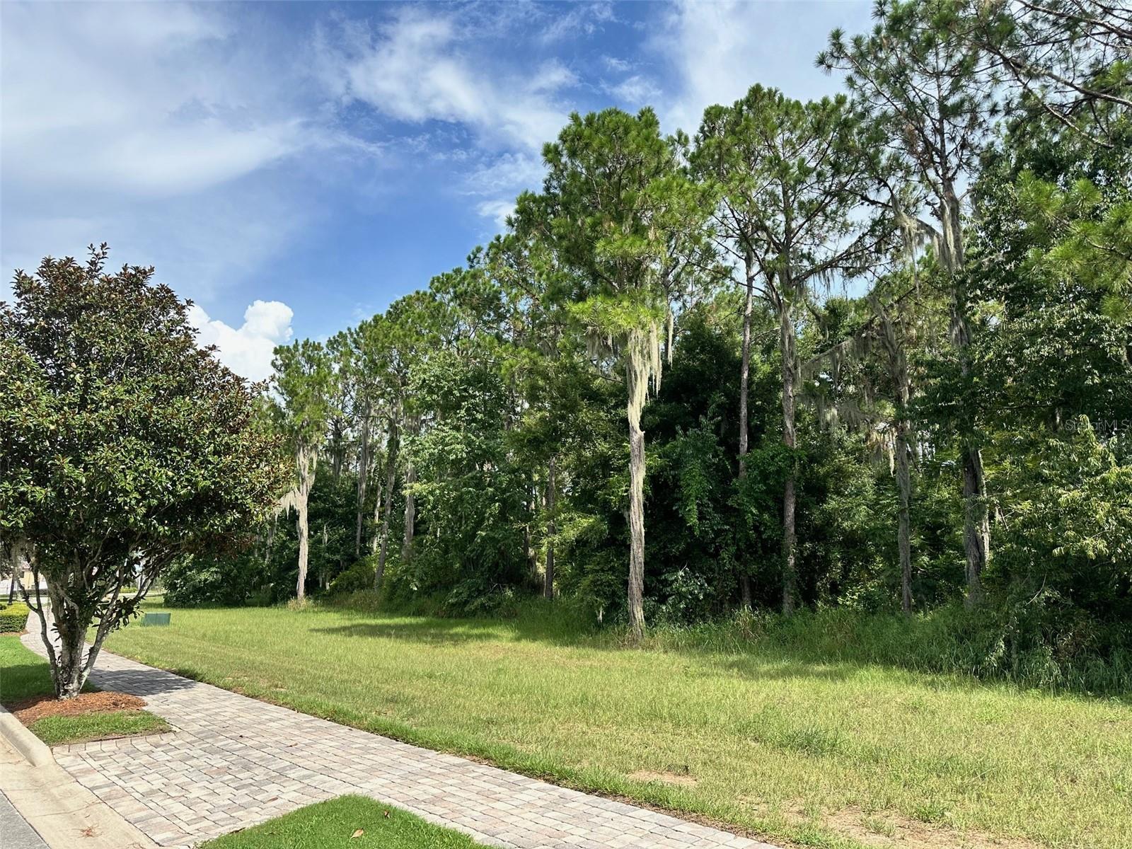 Image 8 of 8 For 15516 Pendio Drive