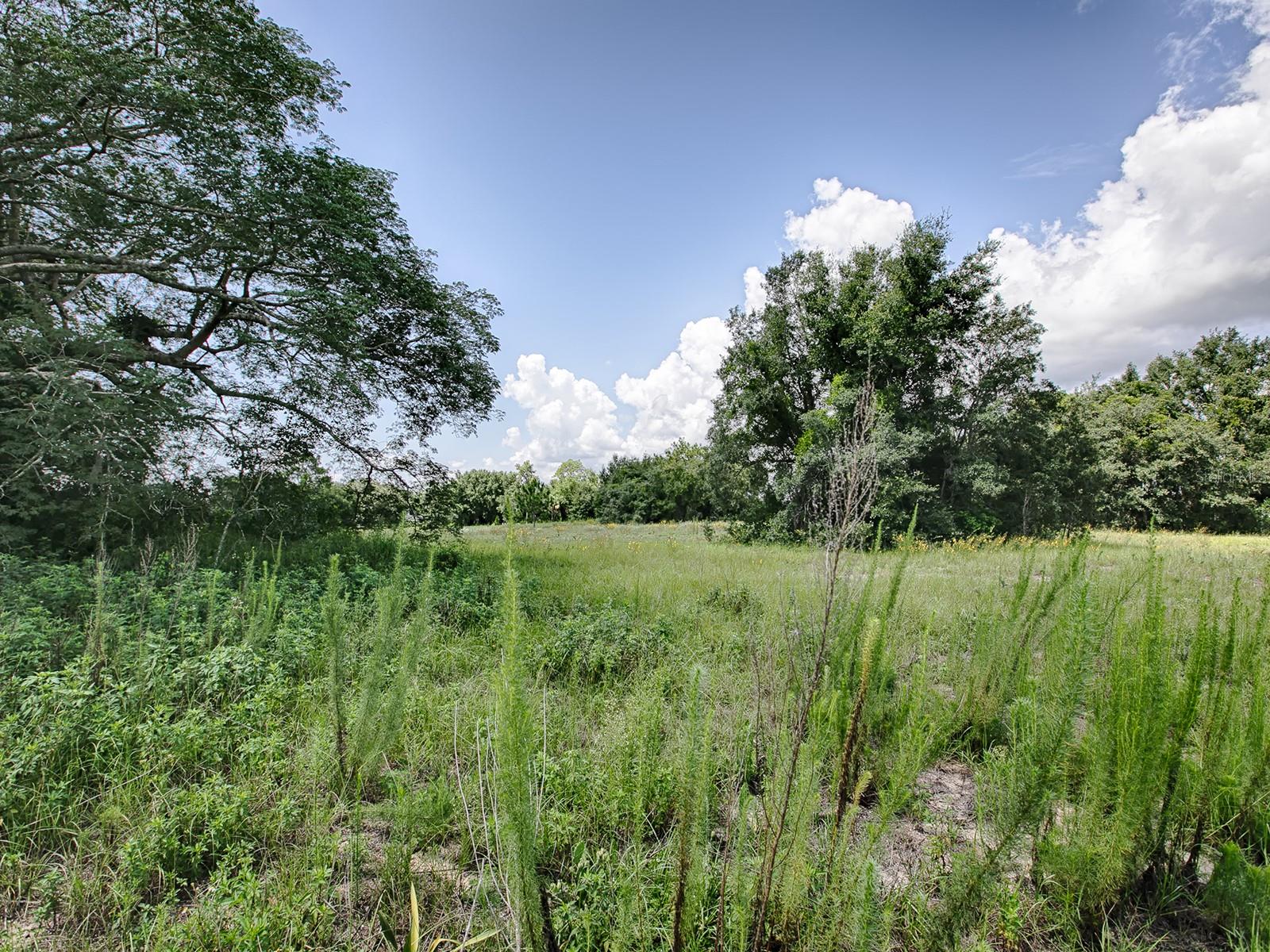 Image 10 of 36 For Fence Post Drive Lot #5