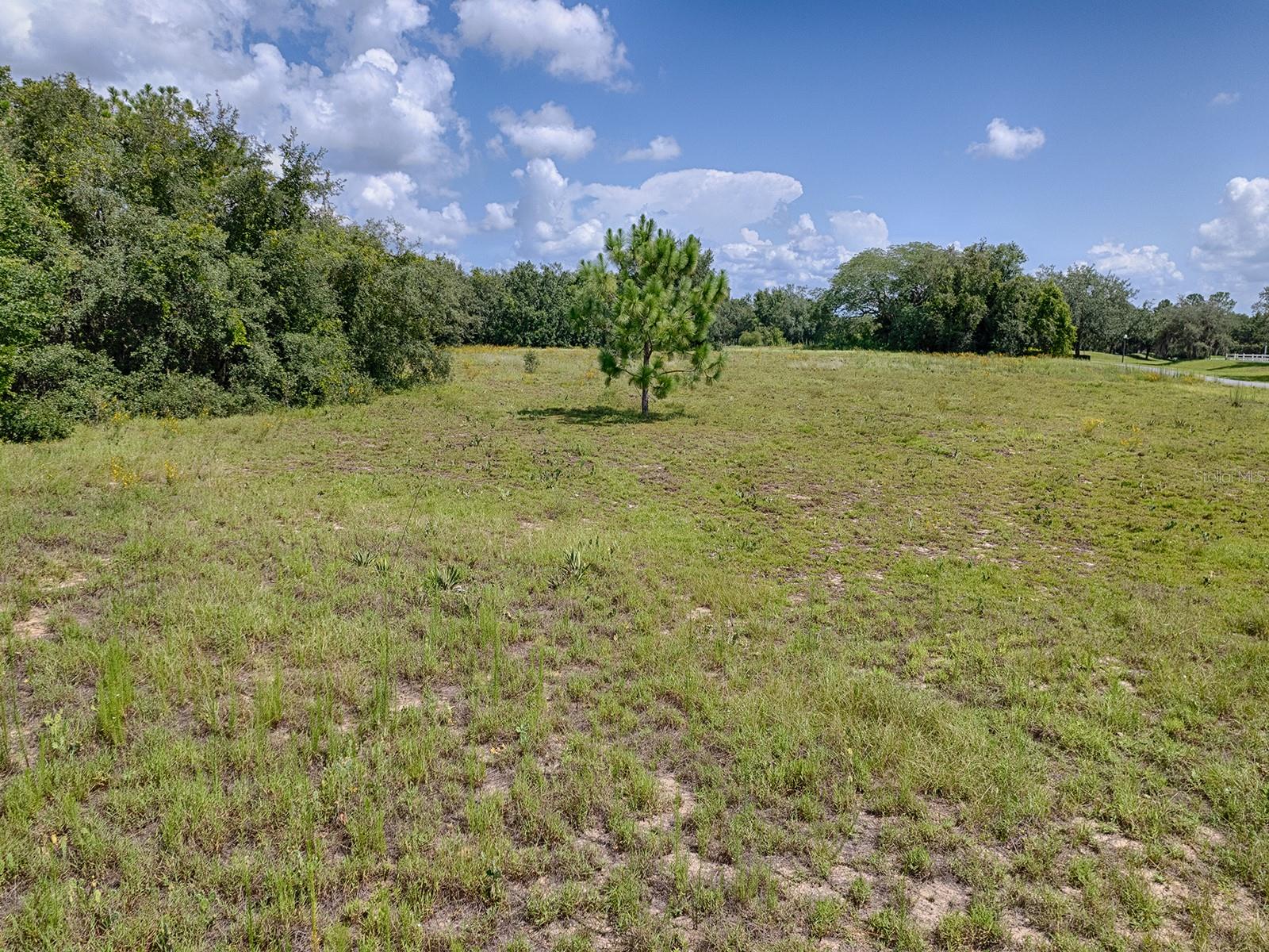 Image 29 of 36 For Fence Post Drive Lot #5