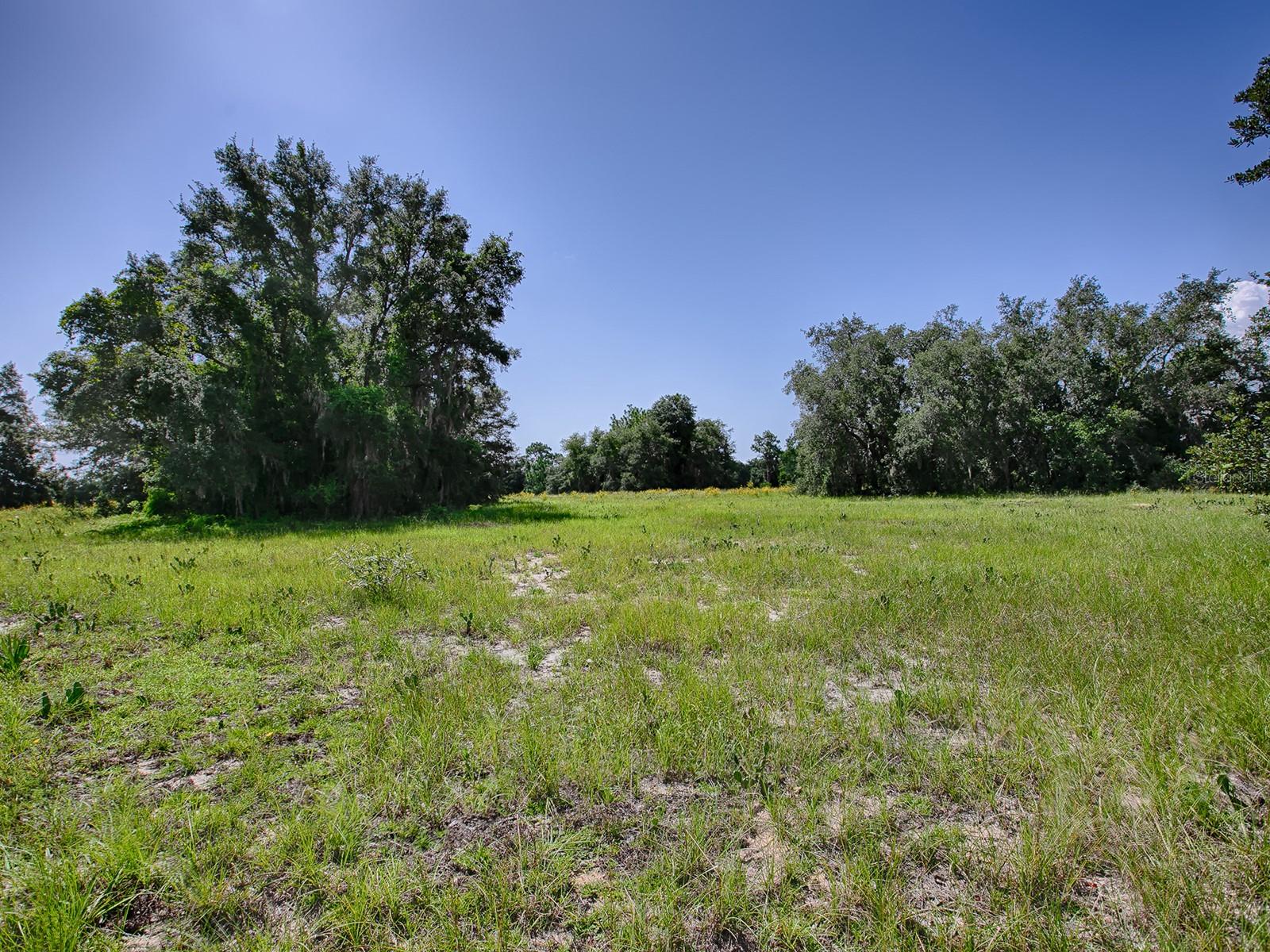 Image 8 of 36 For Fence Post Drive Lot #5