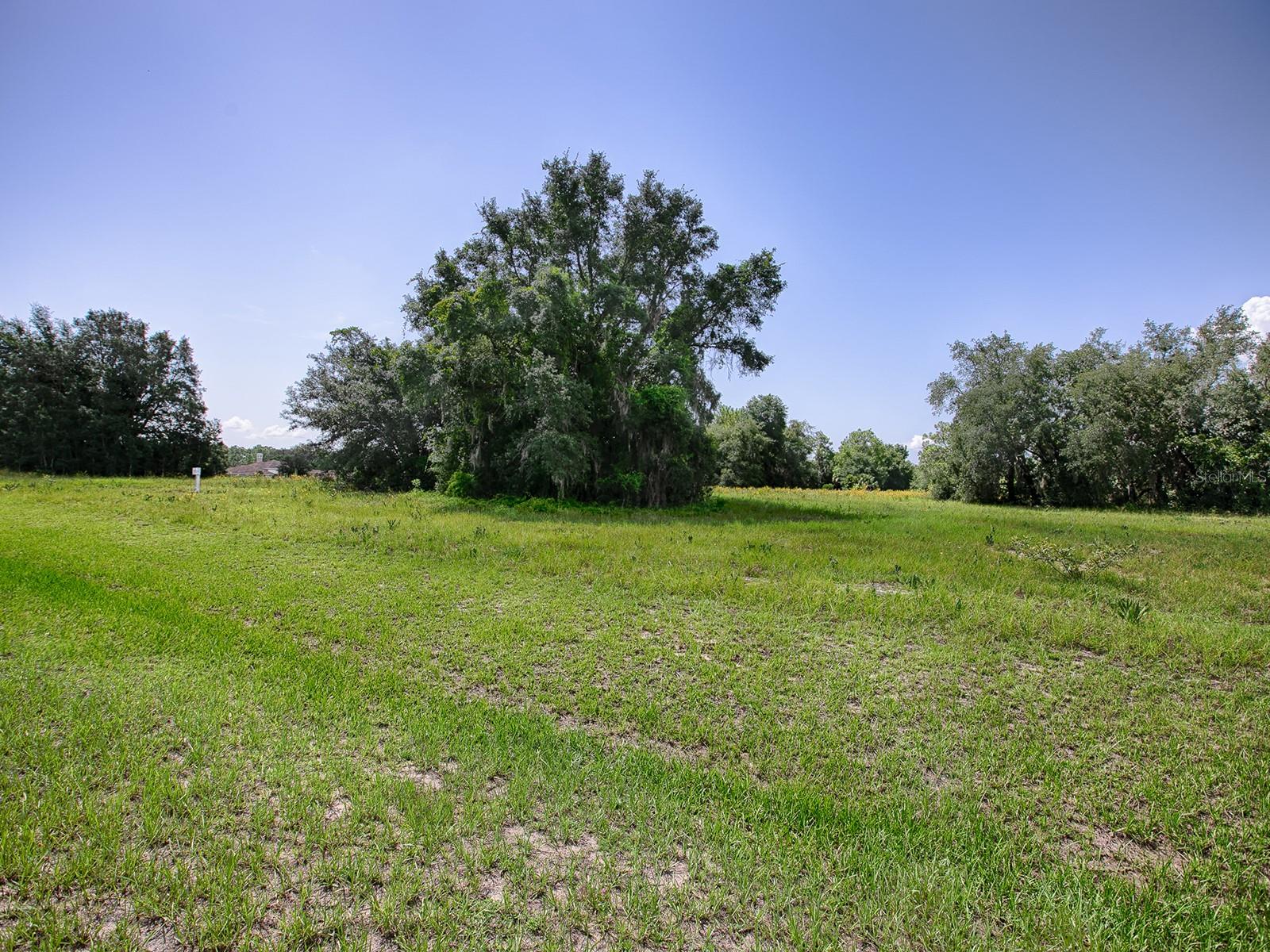 Image 9 of 36 For Fence Post Drive Lot #5