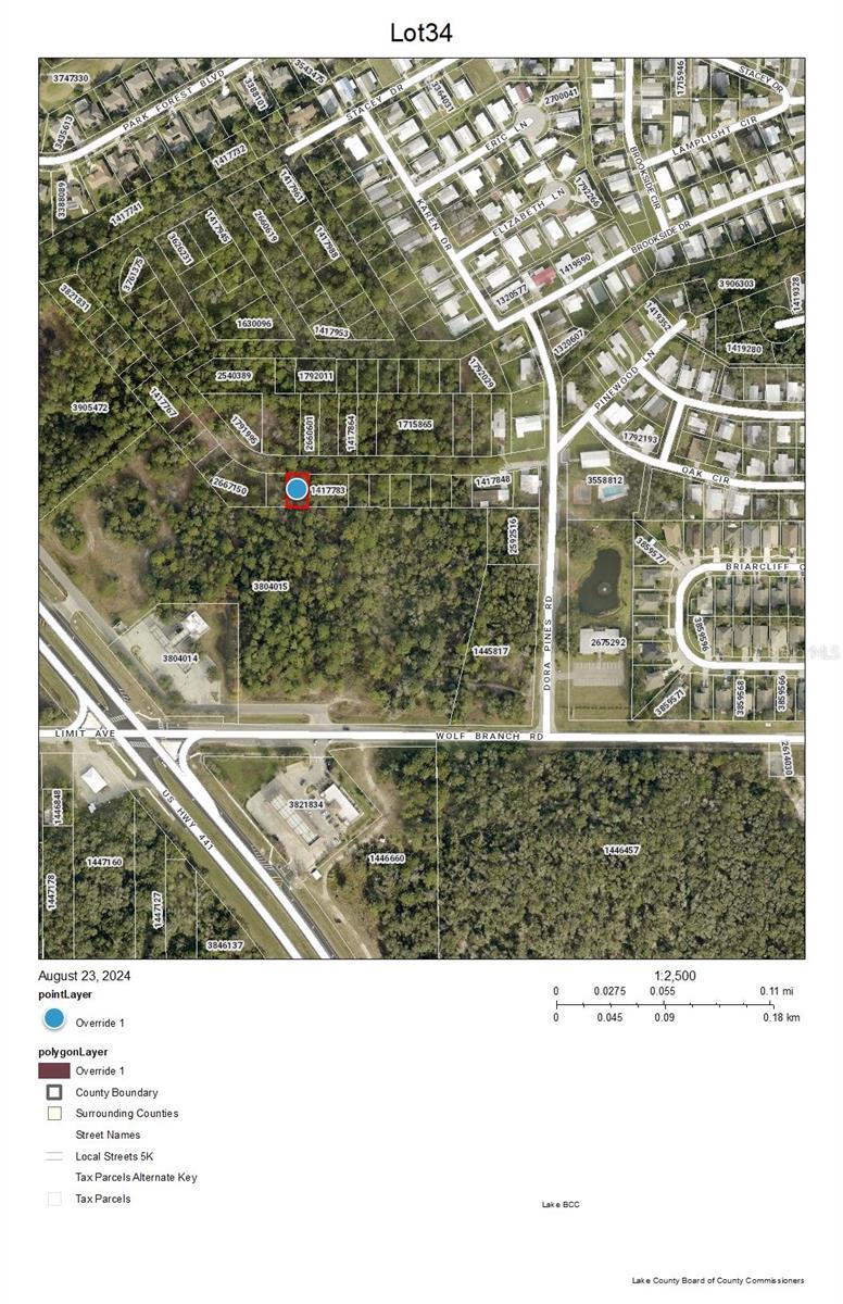 Listing Details for Lot 34 Wolf Branch Road, MOUNT DORA, FL 32757