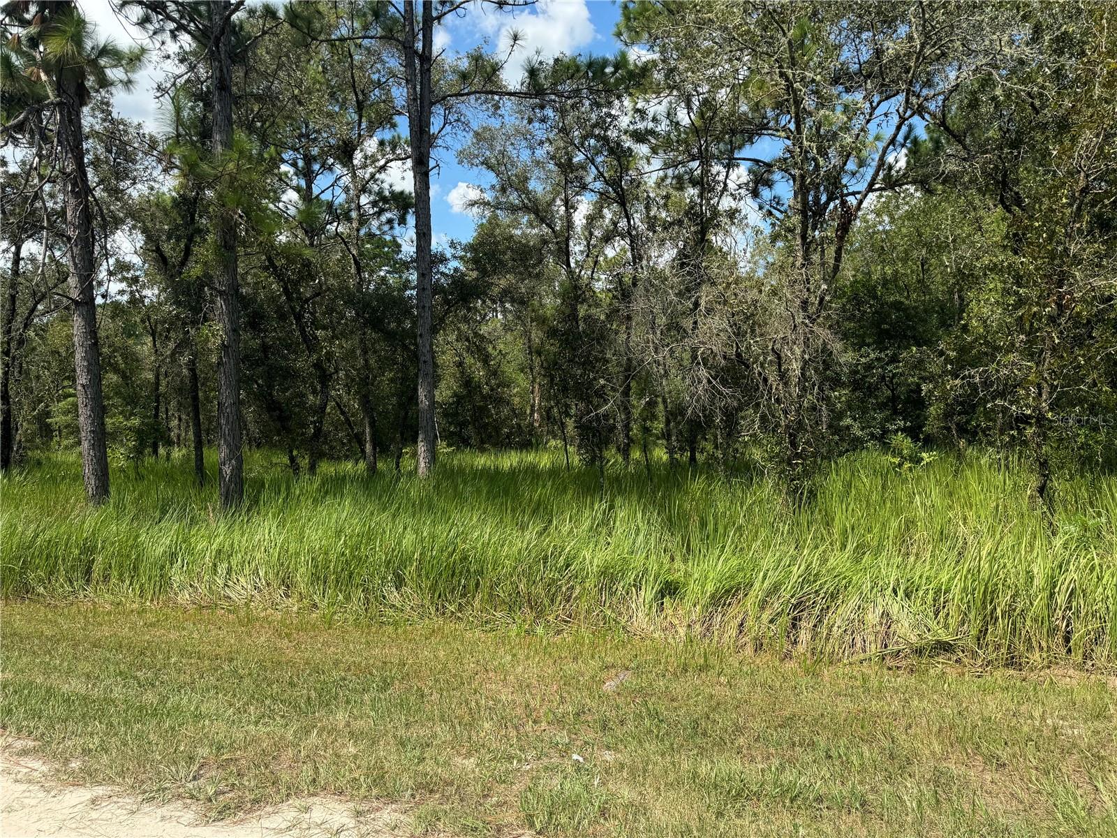 Details for 0000 125th Court Rd, DUNNELLON, FL 34432