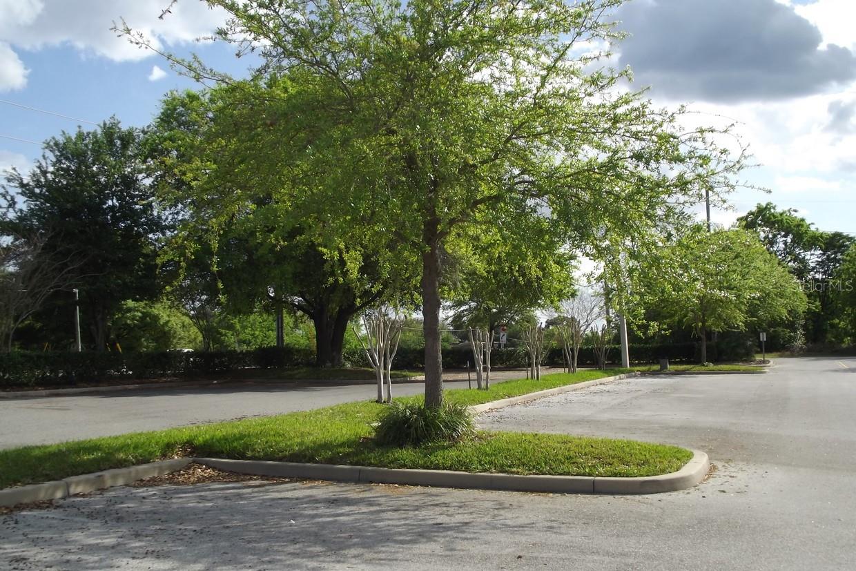 Image 3 of 10 For 886 Sr 19 - Duncan Drive