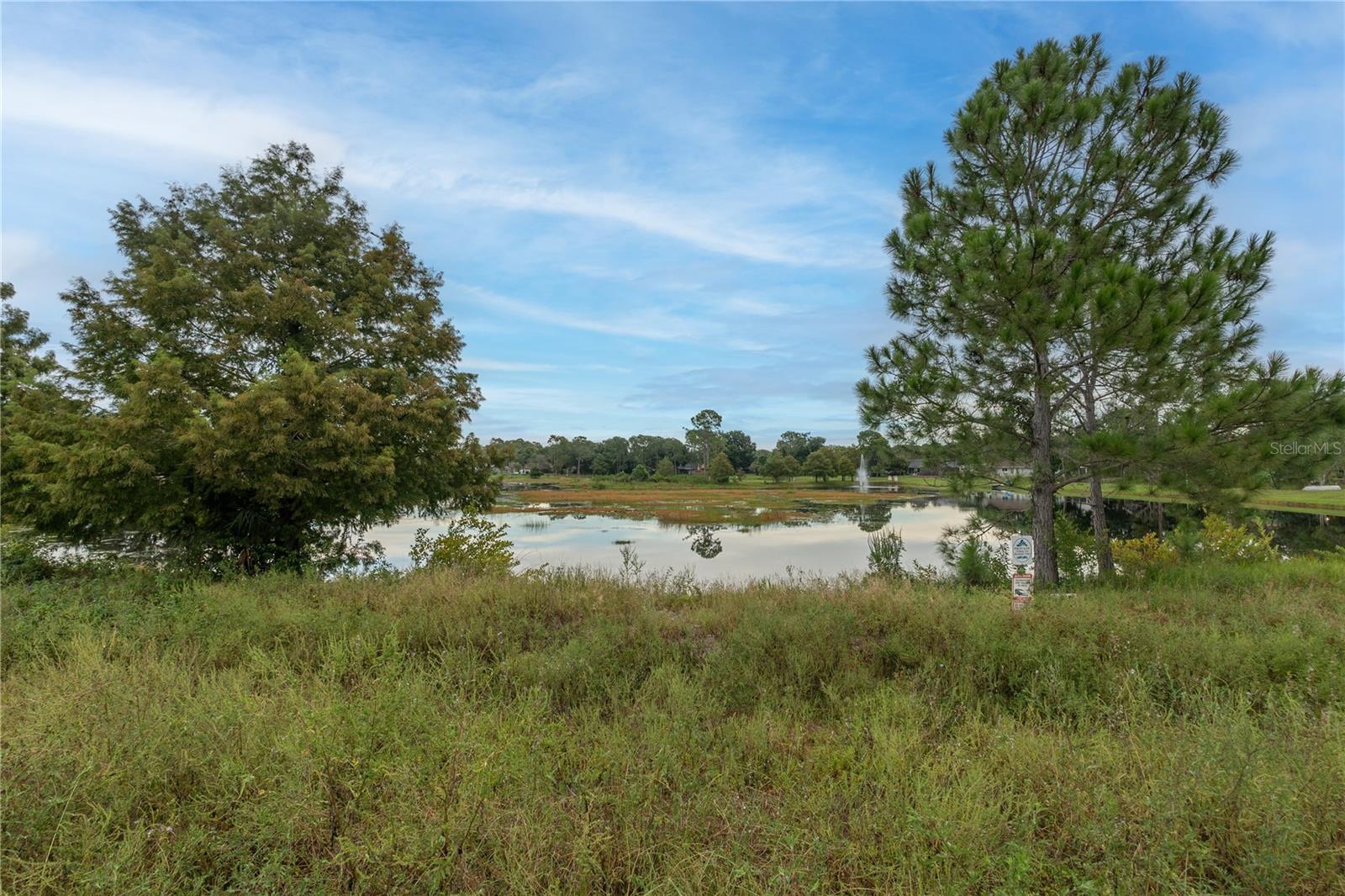 Details for  Cr 473 Road , LEESBURG, FL 34788