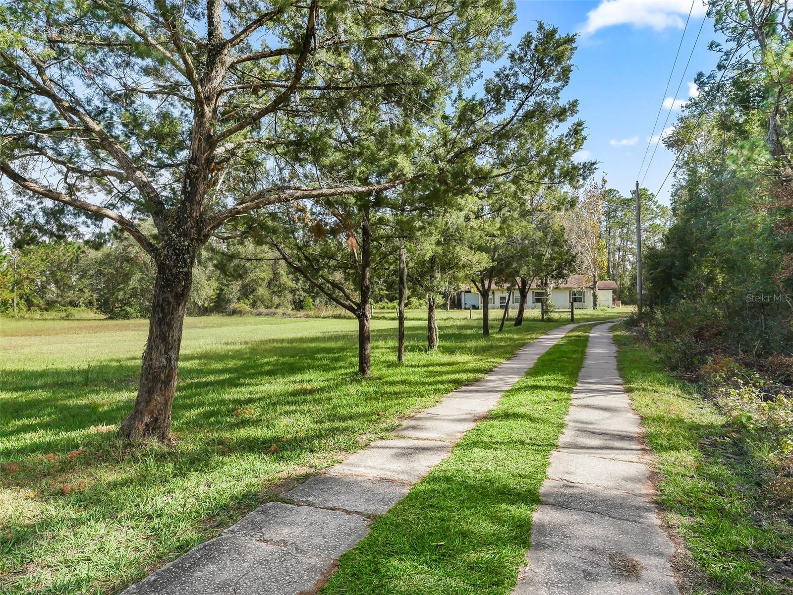 Image 27 of 40 For 1151 Emma Lane