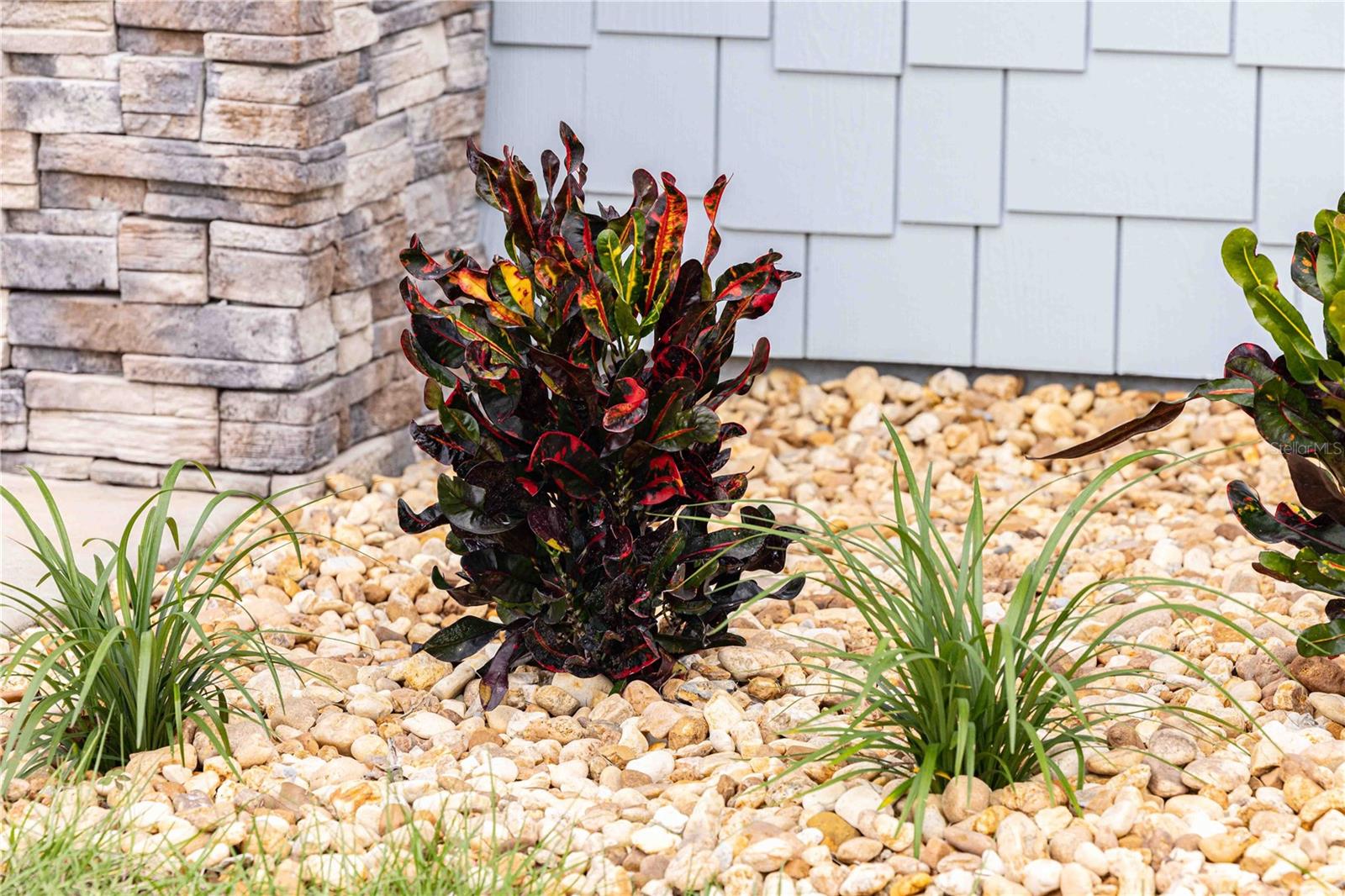 Image 71 of 81 For 10593 Grand Oaks Boulevard