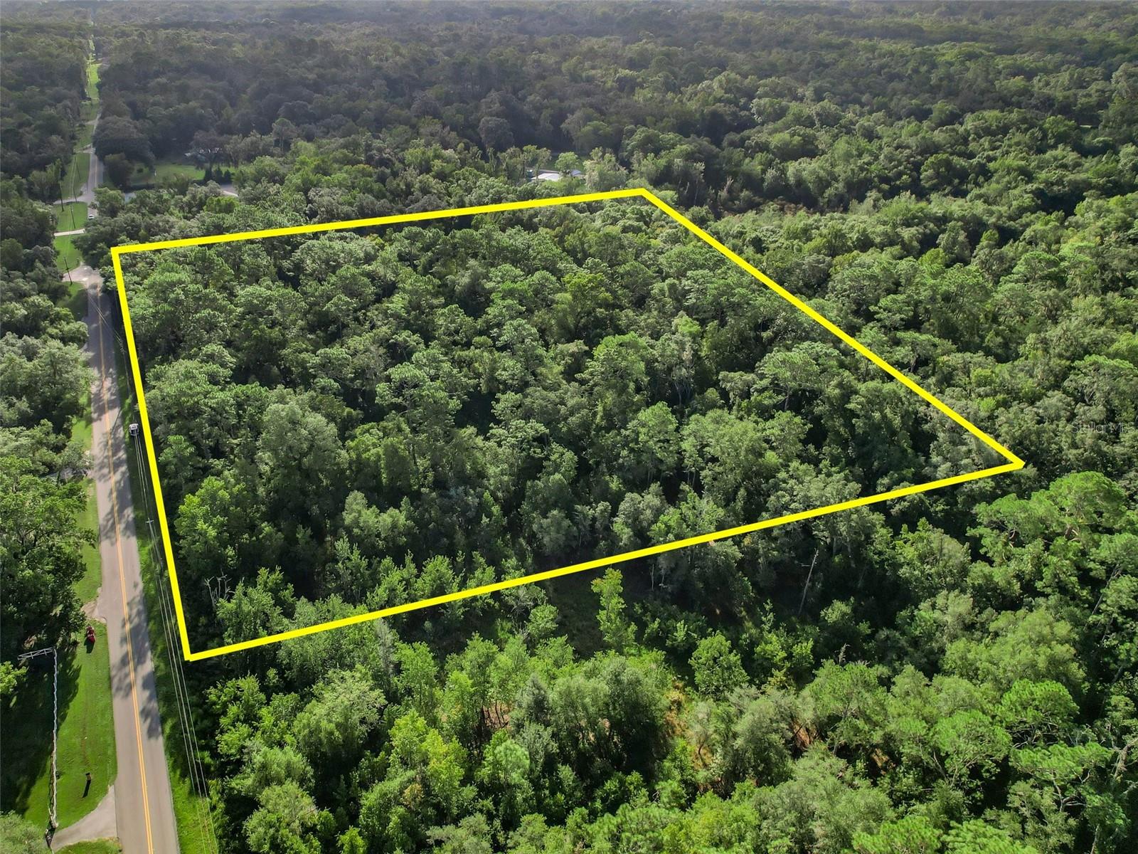 Details for  Cr 656  , WEBSTER, FL 33597