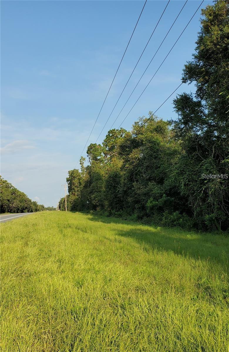 Details for  E Hwy 40  , SILVER SPRINGS, FL 34488