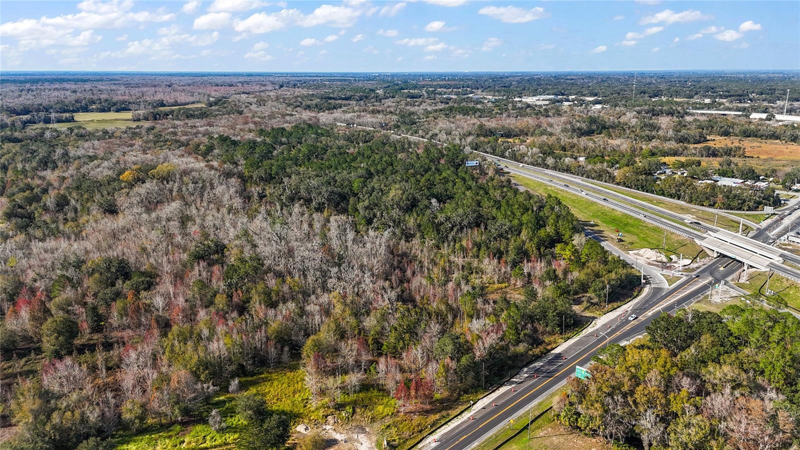 Image 3 of 14 For Hwy 301 - Main Street