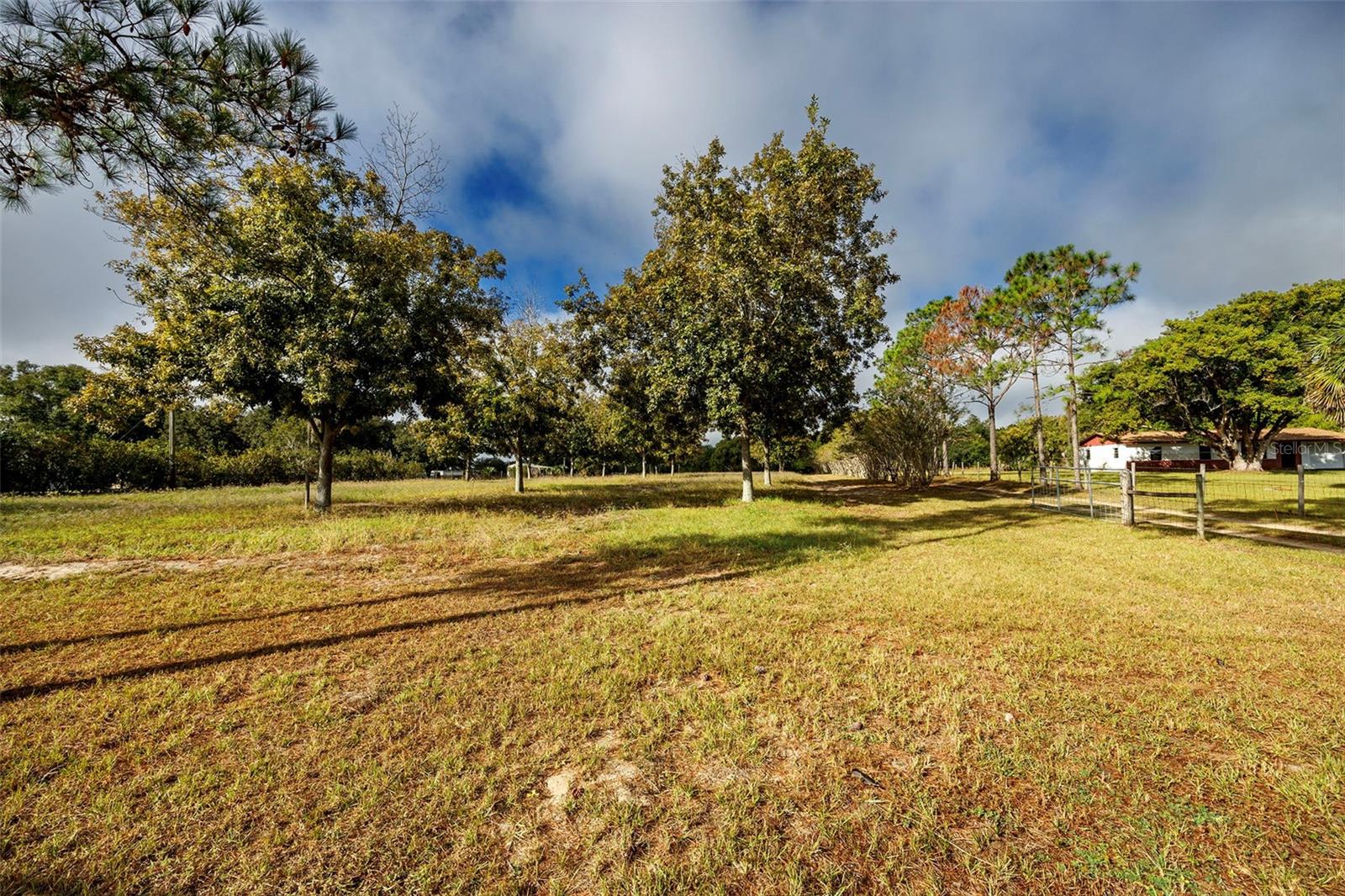 Details for 40635 Thomas Boat Landing Road, UMATILLA, FL 32784