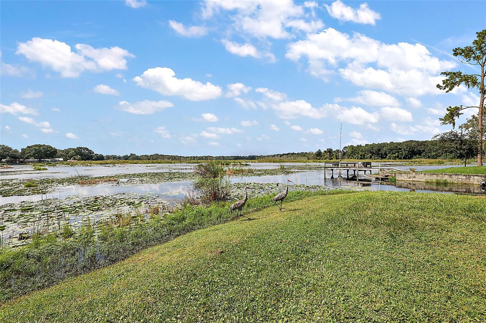 Image 9 of 57 For 8 Ocale Way 