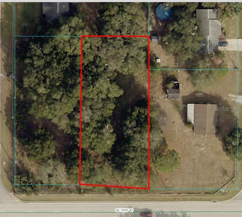 Listing Details for 0 Highway 42, SUMMERFIELD, FL 34491