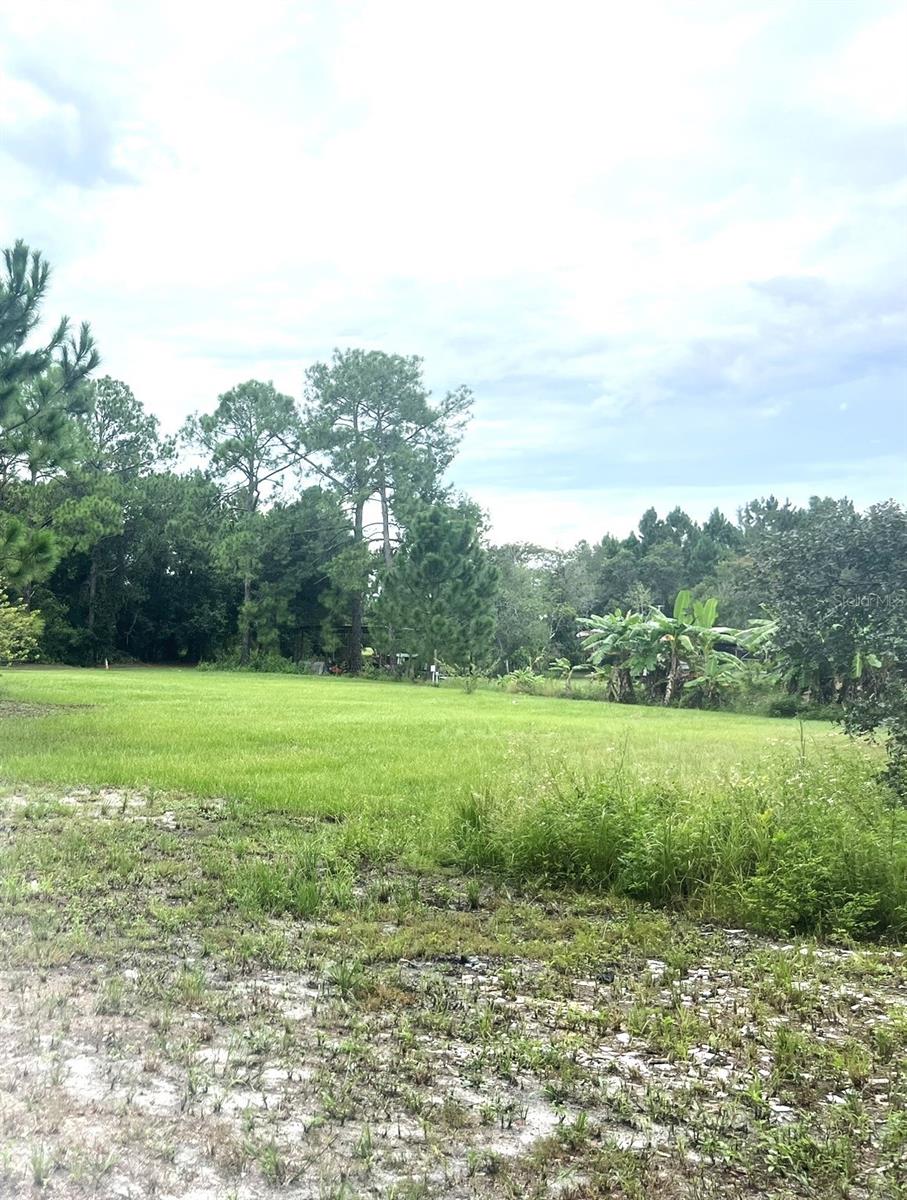 Image 7 of 7 For Address Not Provided