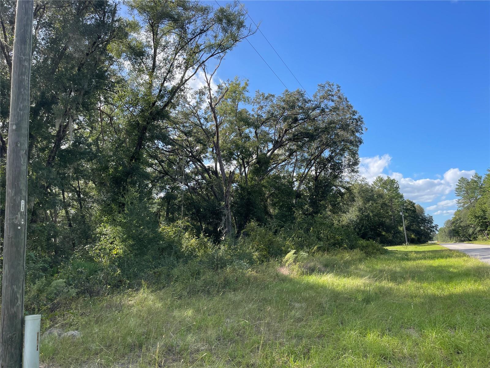 Details for  0 173rd Pl  , OCALA, FL 34473