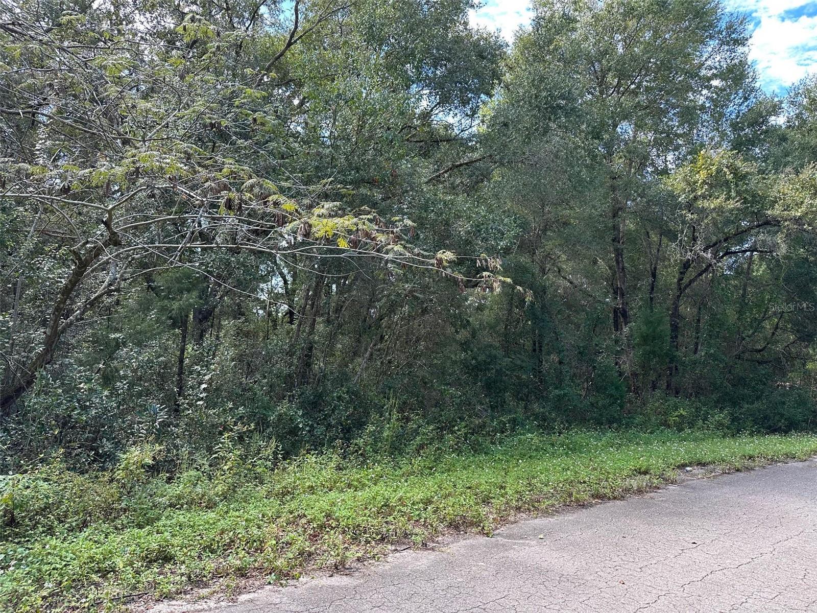 Details for Tbd Guava Terrace Pass, OCKLAWAHA, FL 32179