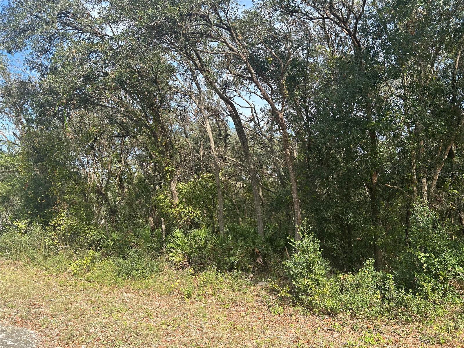 Details for 9114 Realstone Drive, WEBSTER, FL 33597