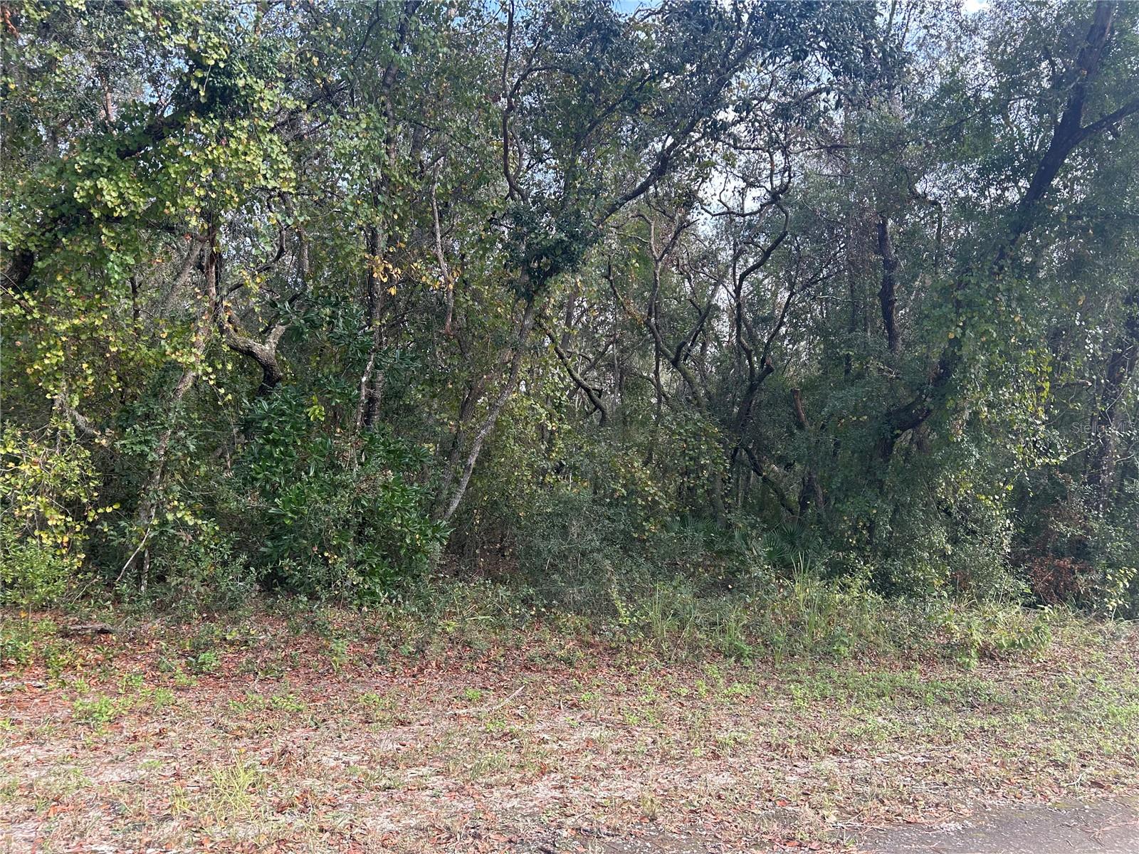 Image 3 of 5 For 9114 Realstone Drive