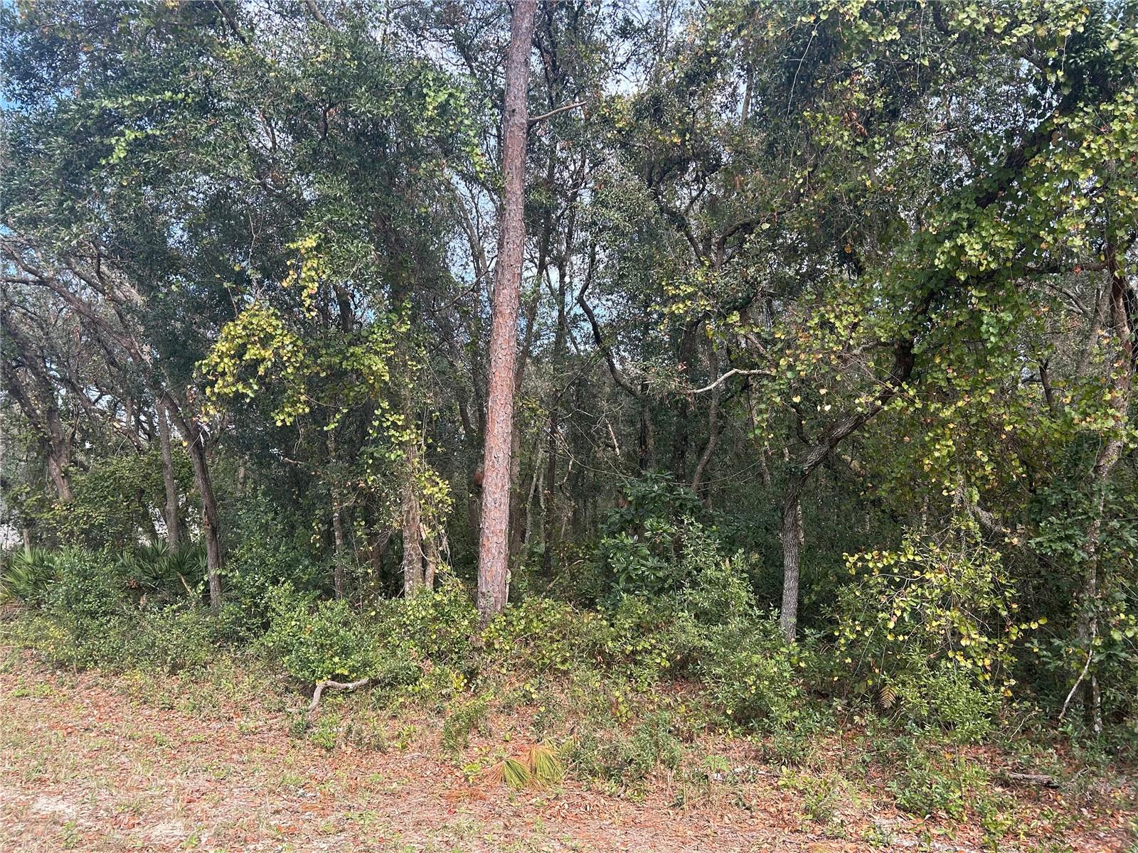 Image 4 of 5 For 9114 Realstone Drive