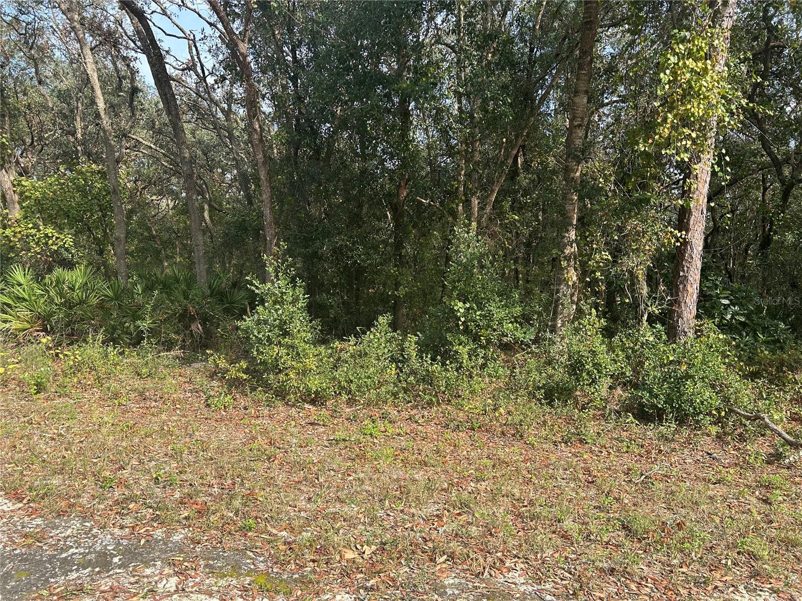 Image 5 of 5 For 9114 Realstone Drive