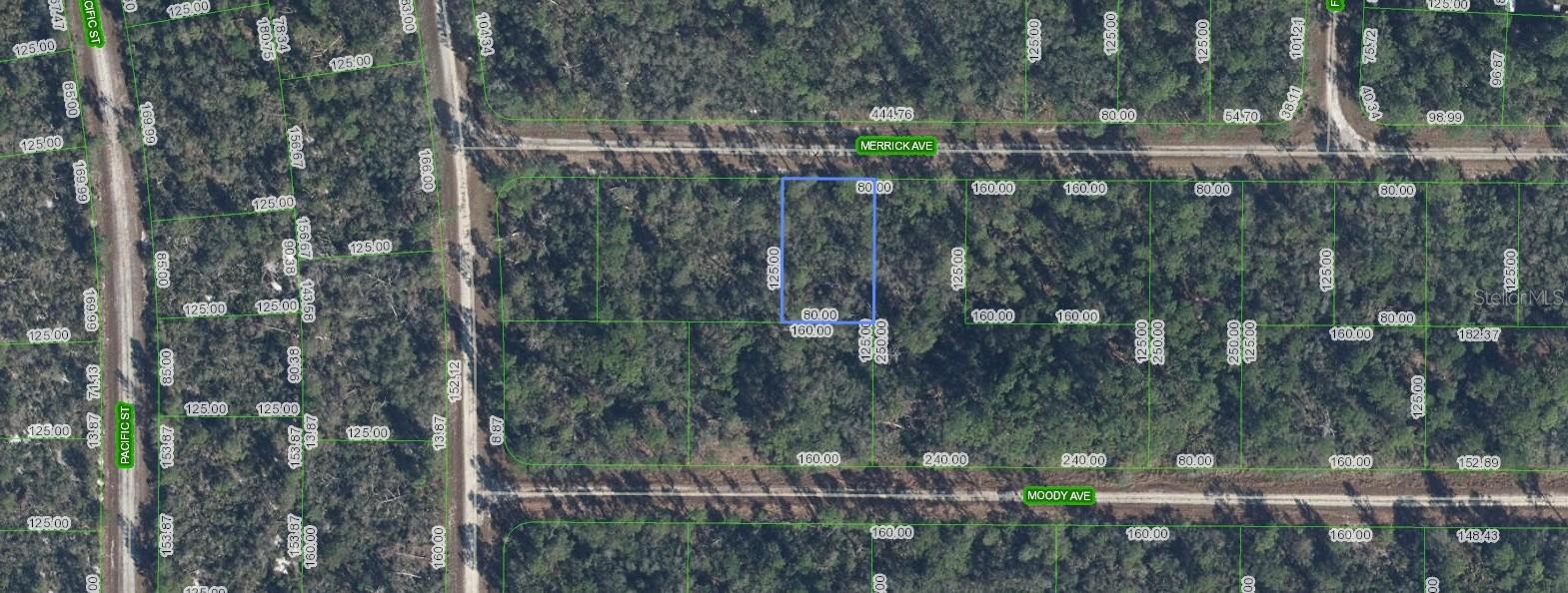 Details for 3116 Merrick Ave, LAKE PLACID, FL 33852