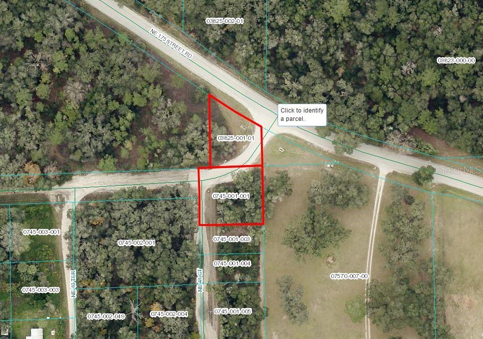 Details for Ne 170th Street, CITRA, FL 32113