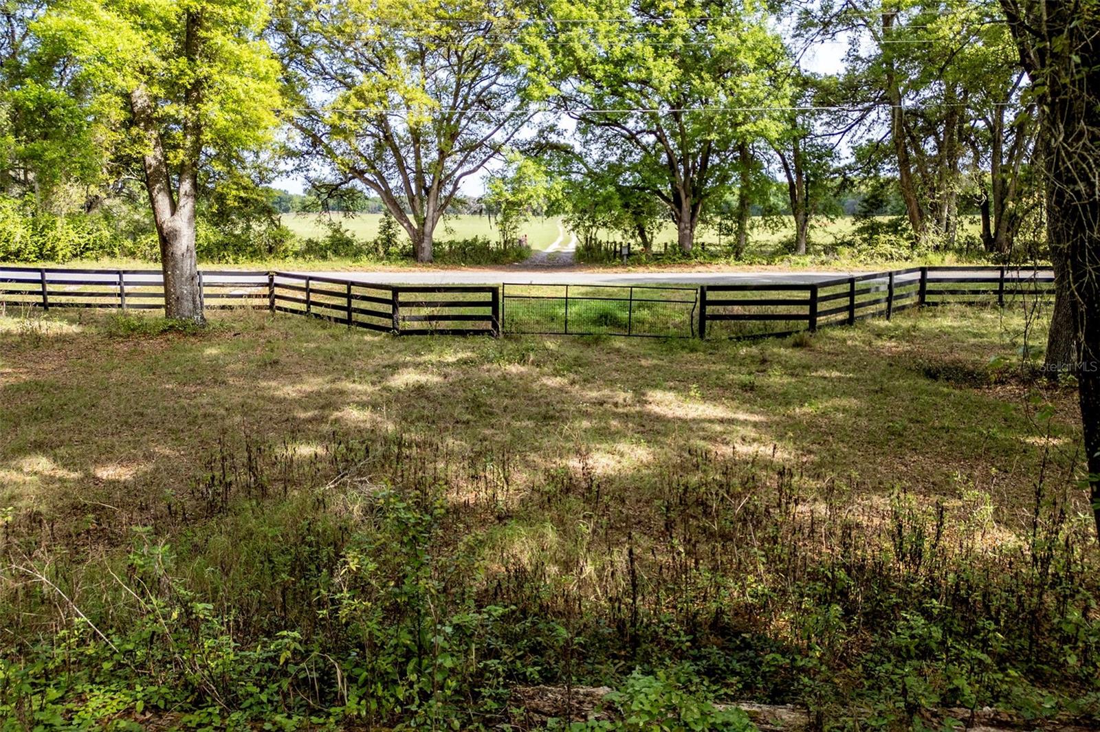 Image 8 of 14 For Griffin View Drive